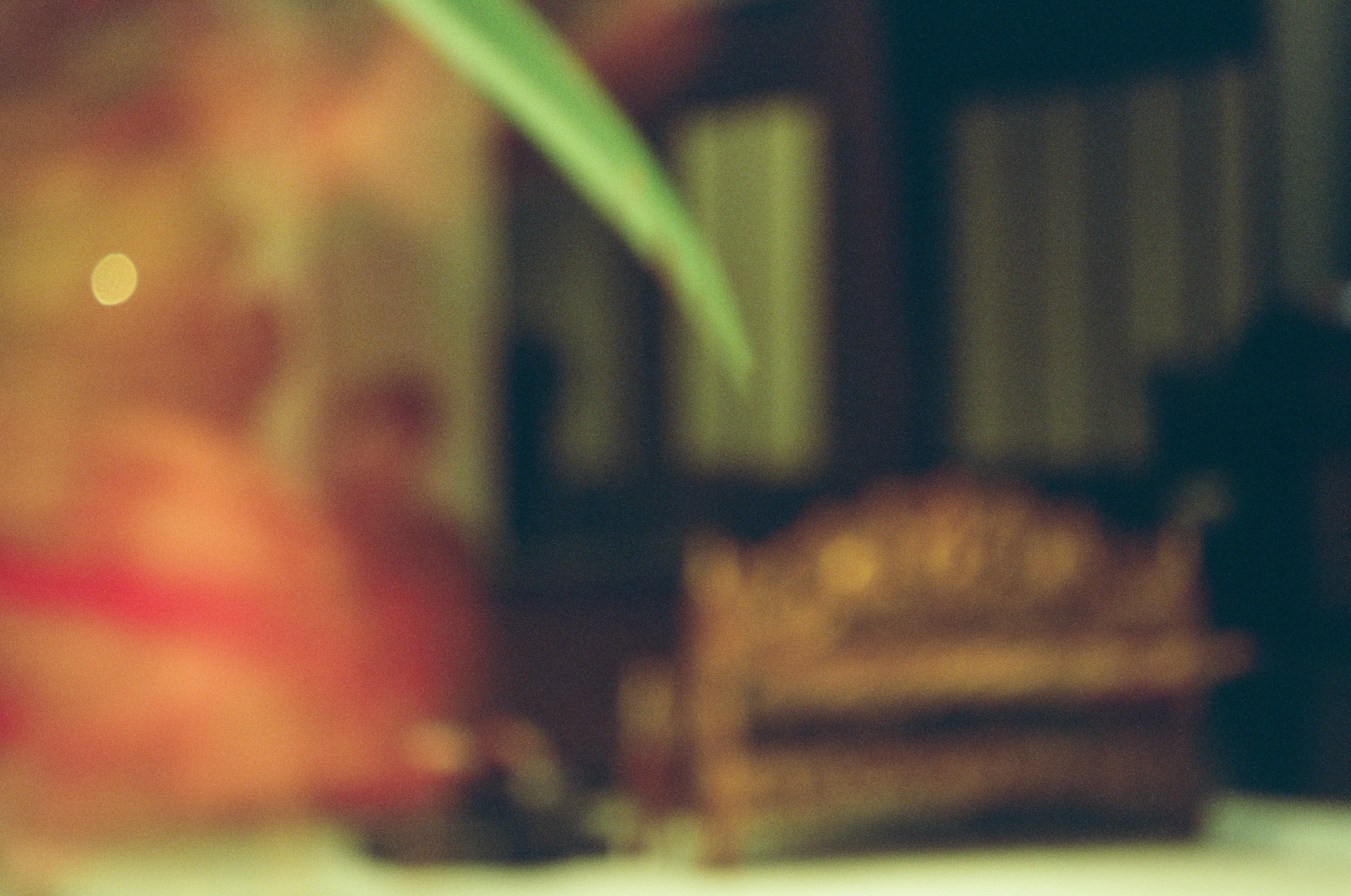 A soft, out-of-focus frame showing a green palm leaf crossing the upper frame, a gilded carved instrument on the floor, and a blurred red figure at left.