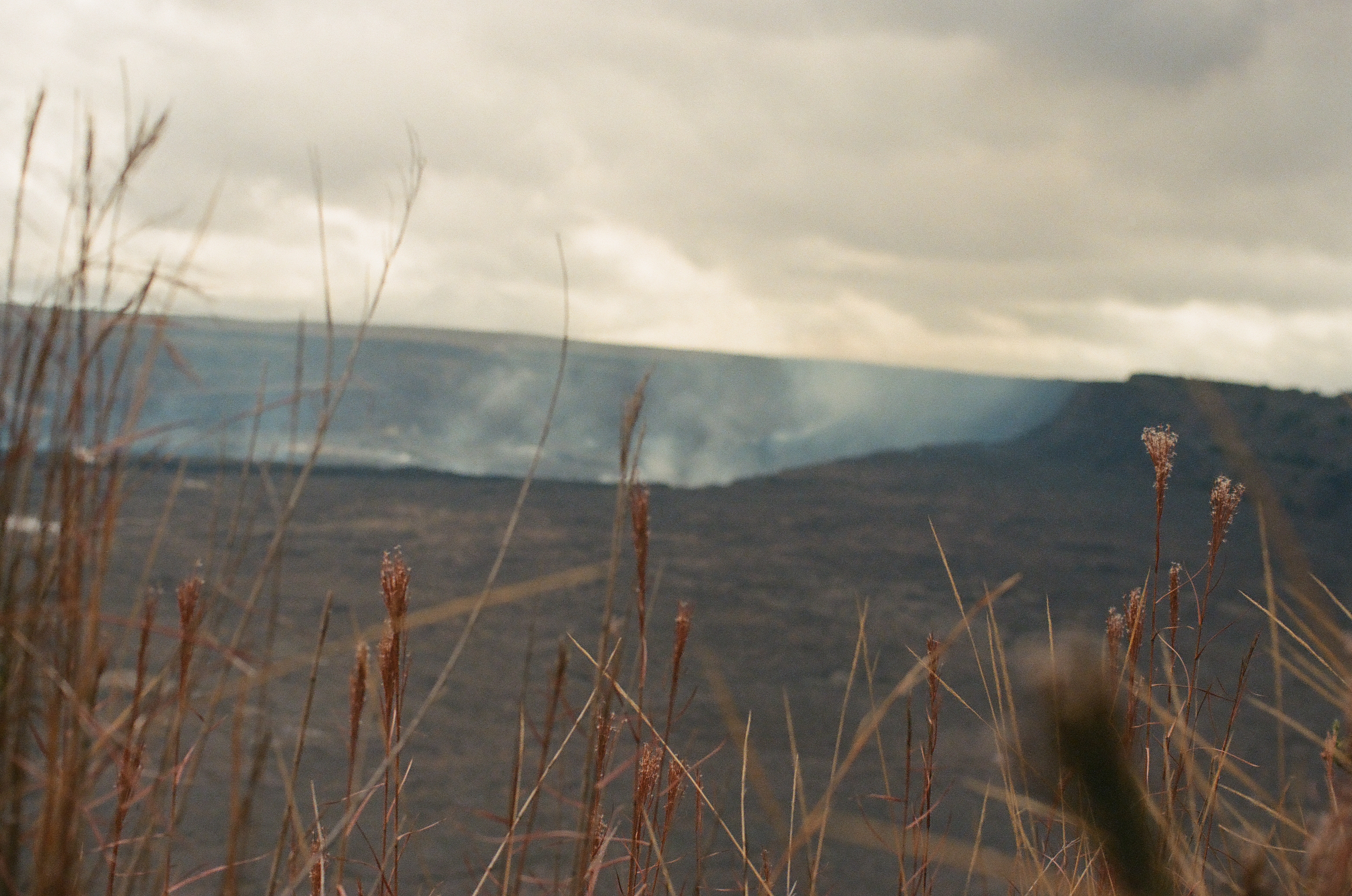 Tall dry stalks cross a dark crater and distant steam beneath layered gray and cream clouds.
