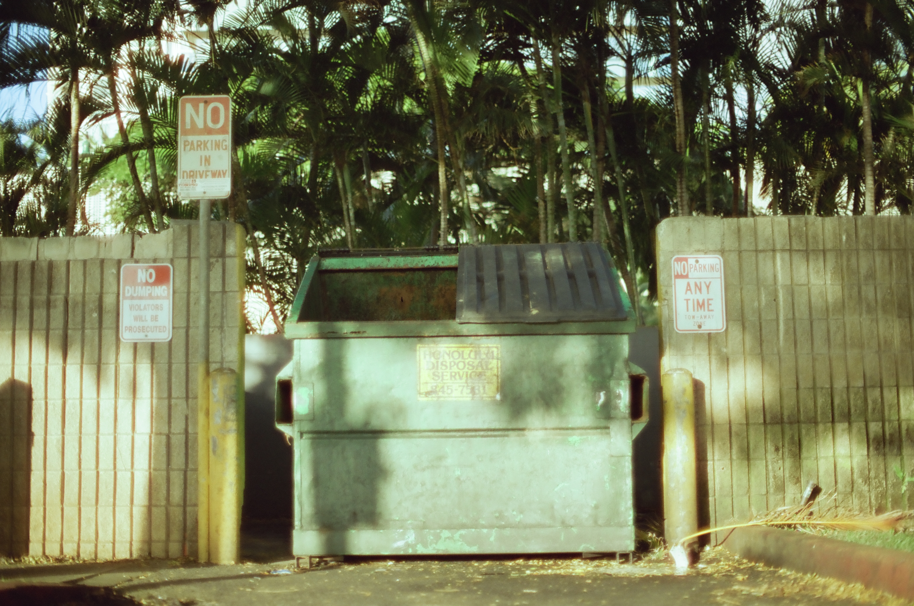 A single green dumpster sits between concrete block walls under palms, flanked by red and white parking signs.