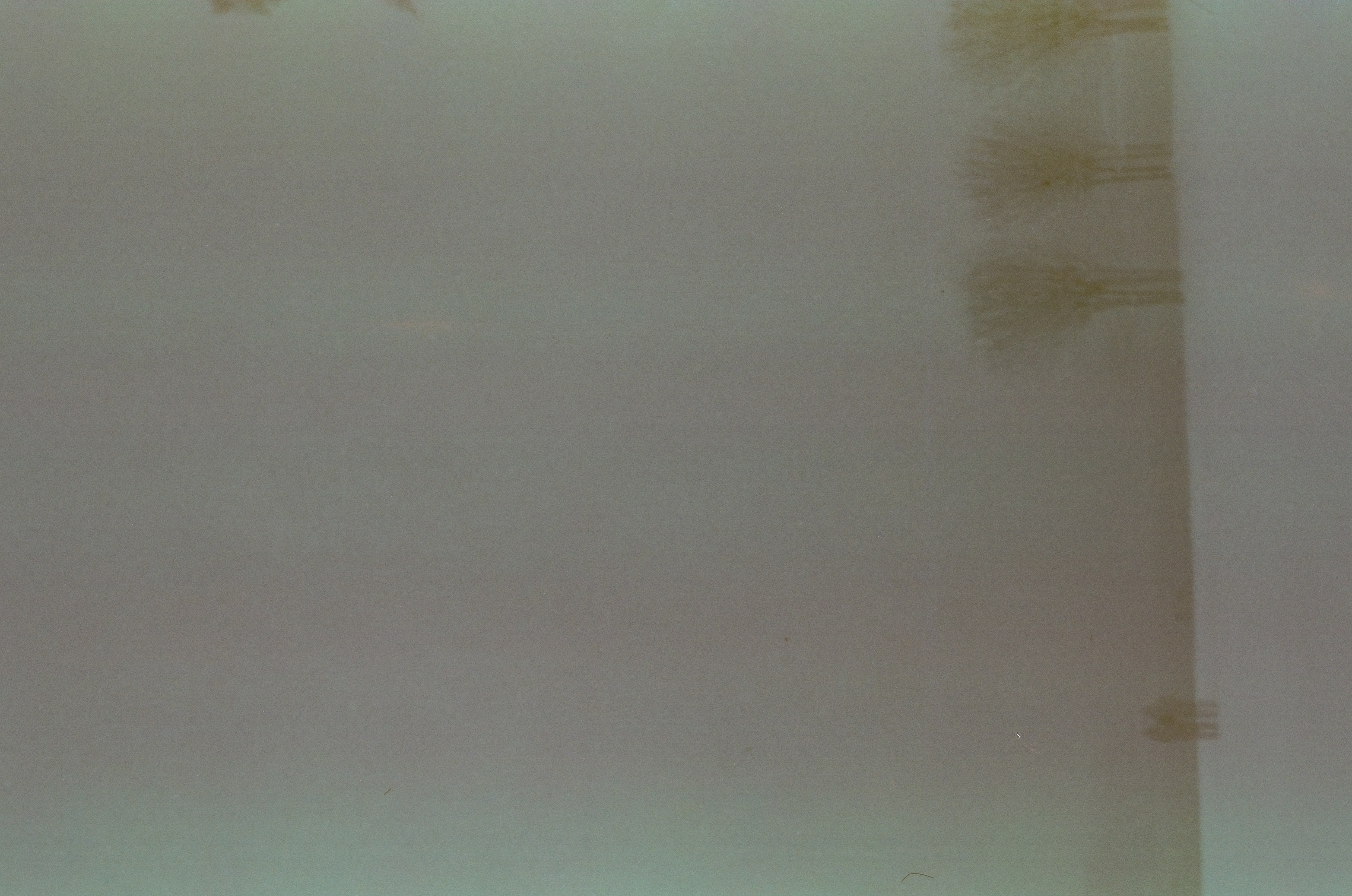 Fog reduces most of the frame to blank pale grey, leaving only a tall ridged structure faintly visible along the right edge.