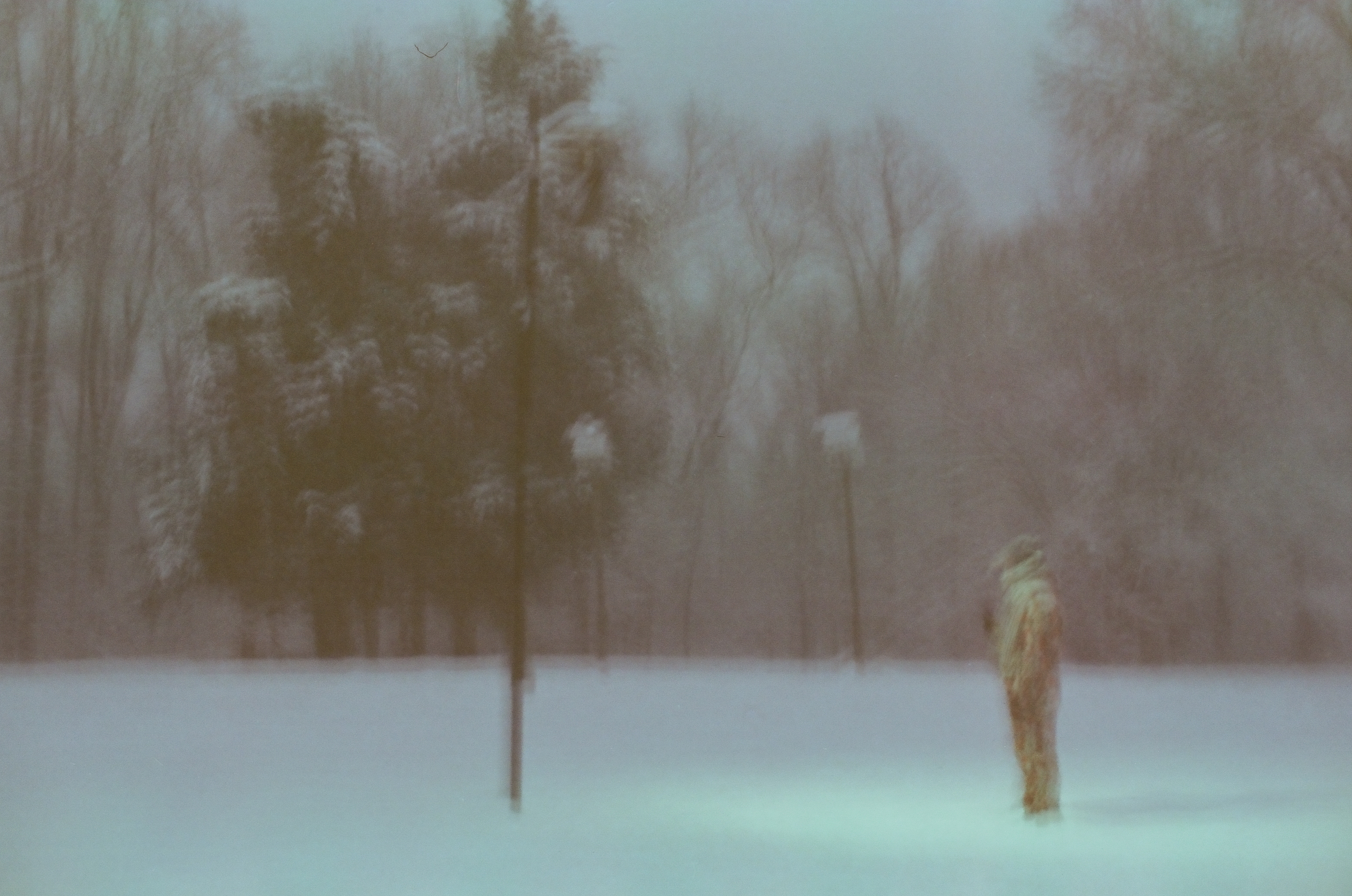 A lone figure in a heavy coat stands in an open snowfield, small against a distant tree line and two softly glowing lamp posts.