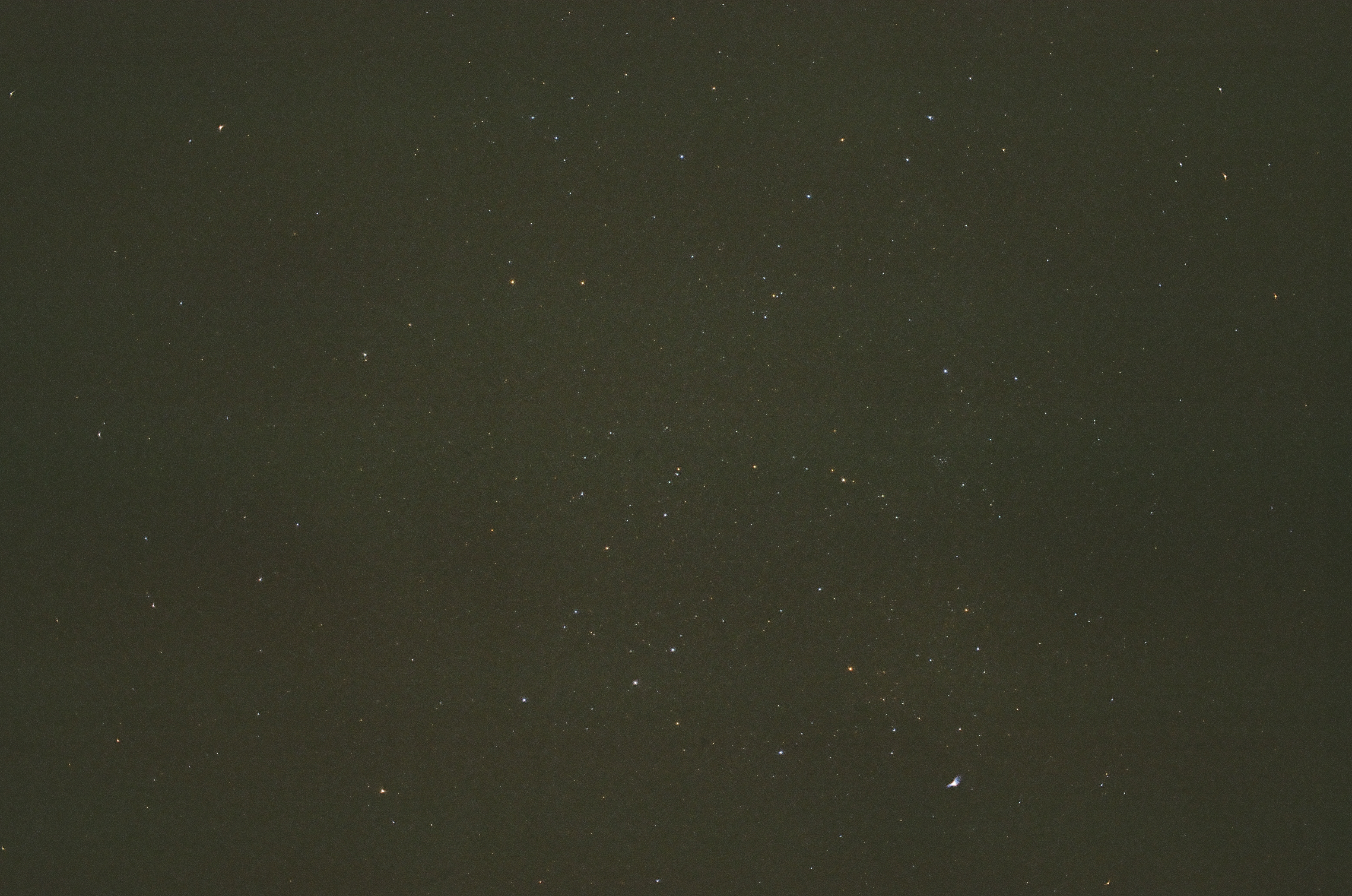 Dozens of small white and amber stars scatter across a dark green-black sky with faint cloudy tonal variation.