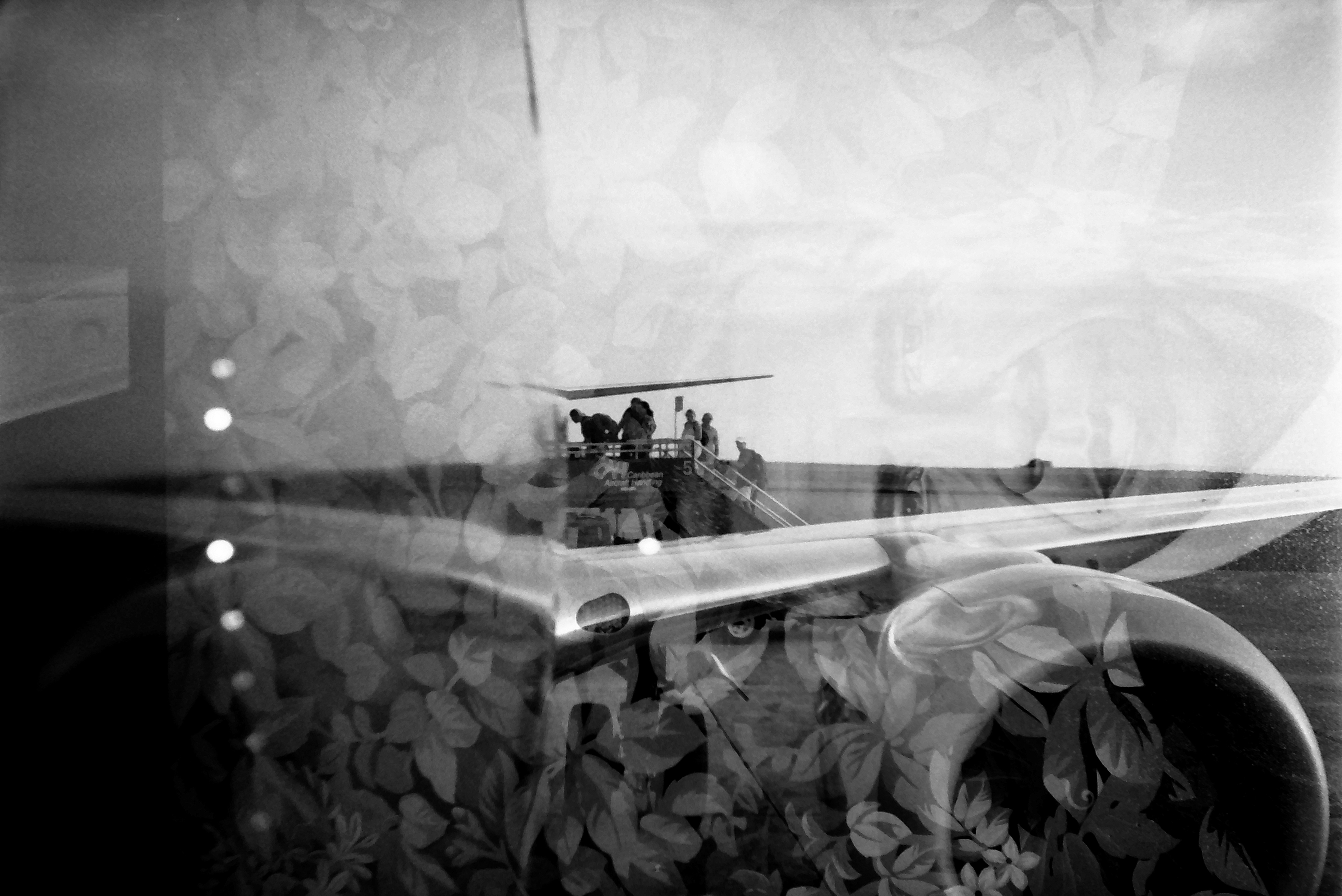 An aircraft wing and engine extend over tarmac toward a covered mobile stair with several people, all overlaid by a dense leaf pattern.