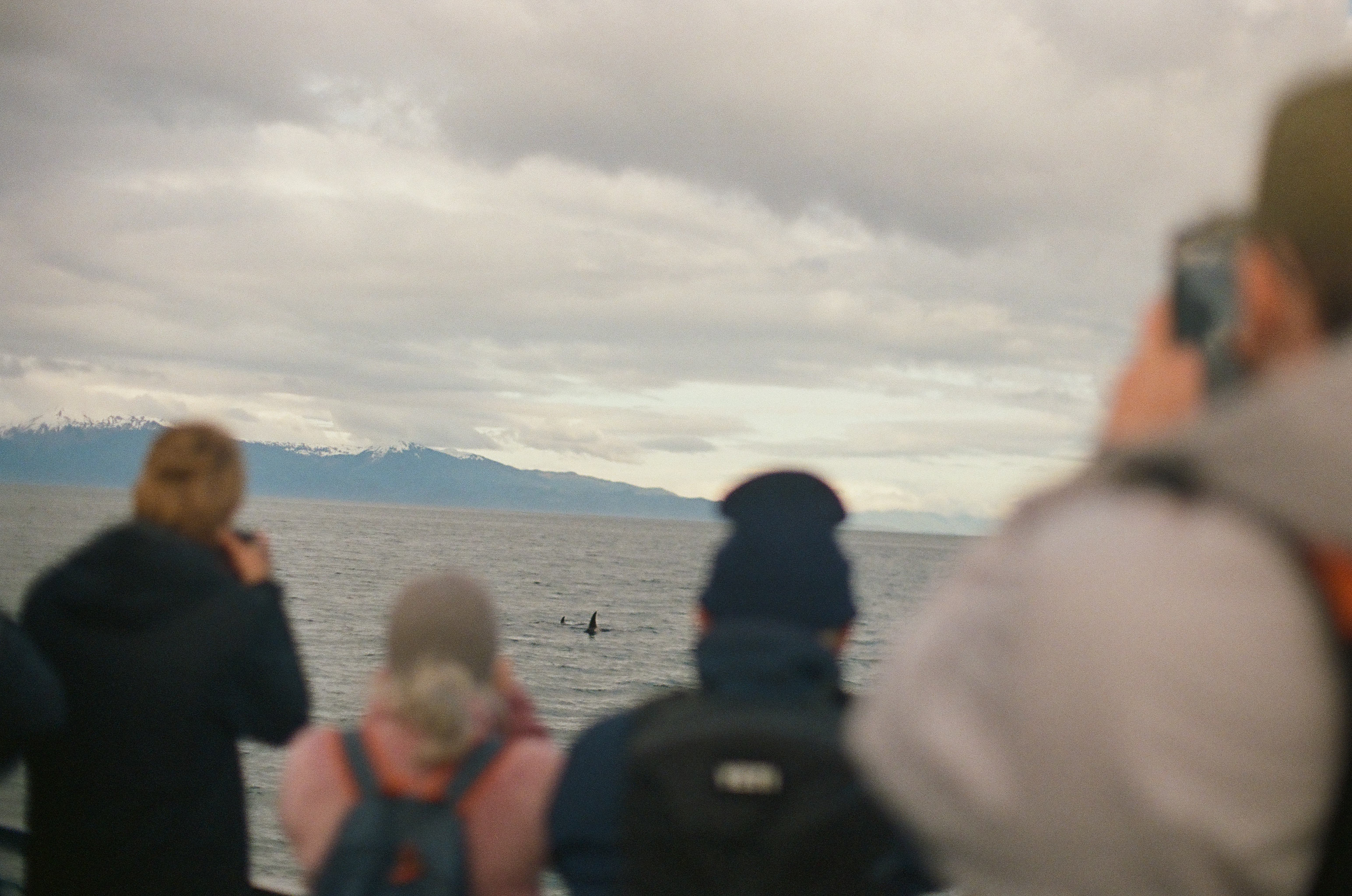Bundled observers face open water and distant snow-streaked mountains while small dark marks break the surface.
