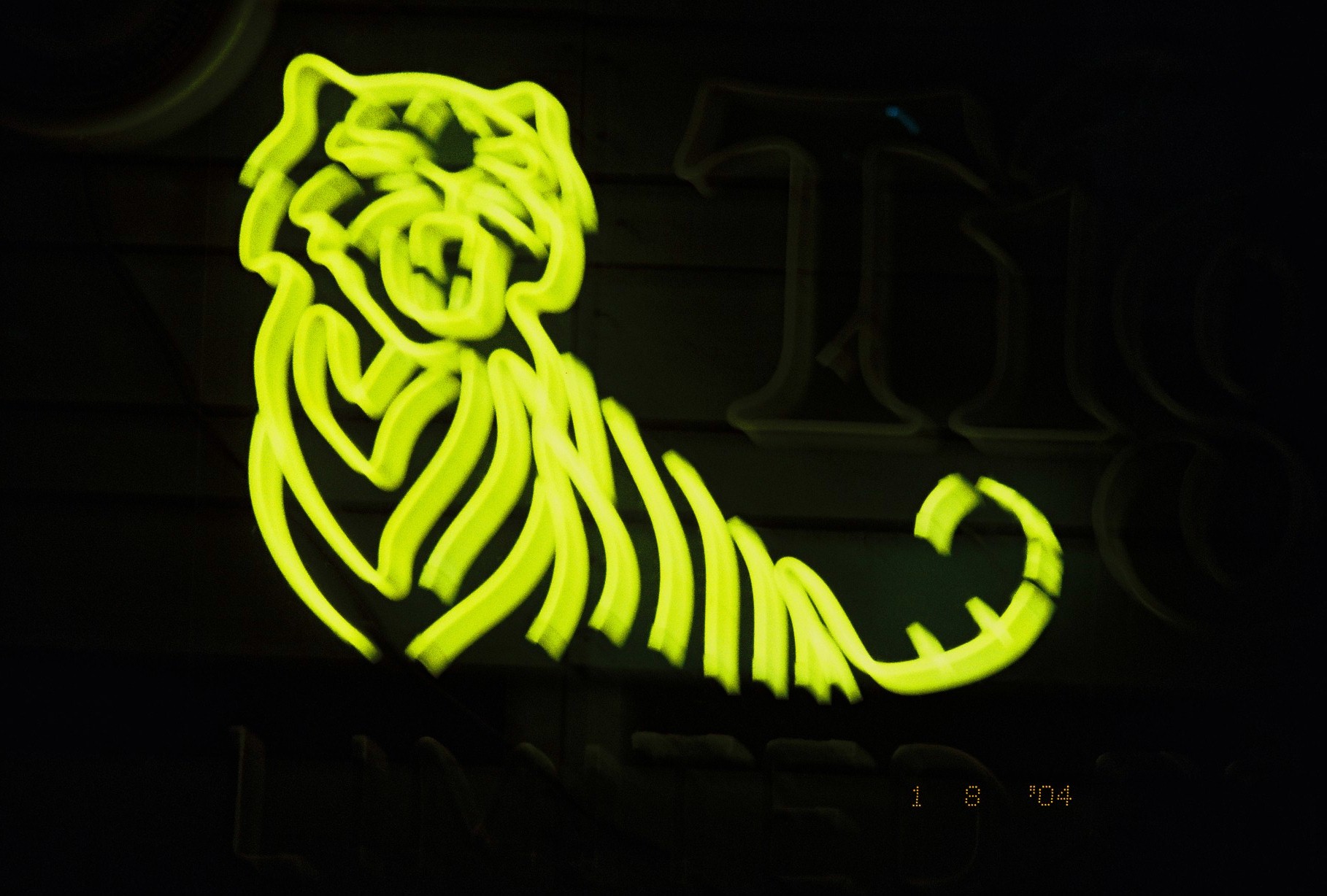 A tiger outlined in yellow-green neon tubing glows against a nearly black wall, with faint unlit lettering visible beside it.