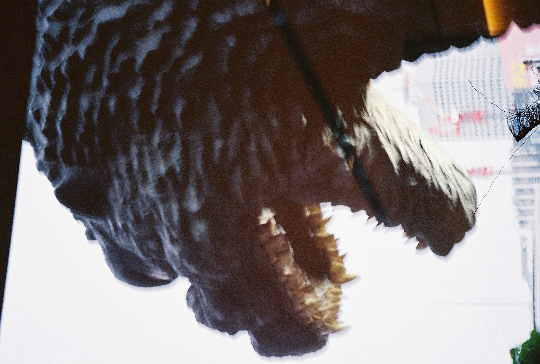 A large sculpted creature head with an open mouth and rows of teeth fills the frame against overcast sky, with a building visible through a gap.