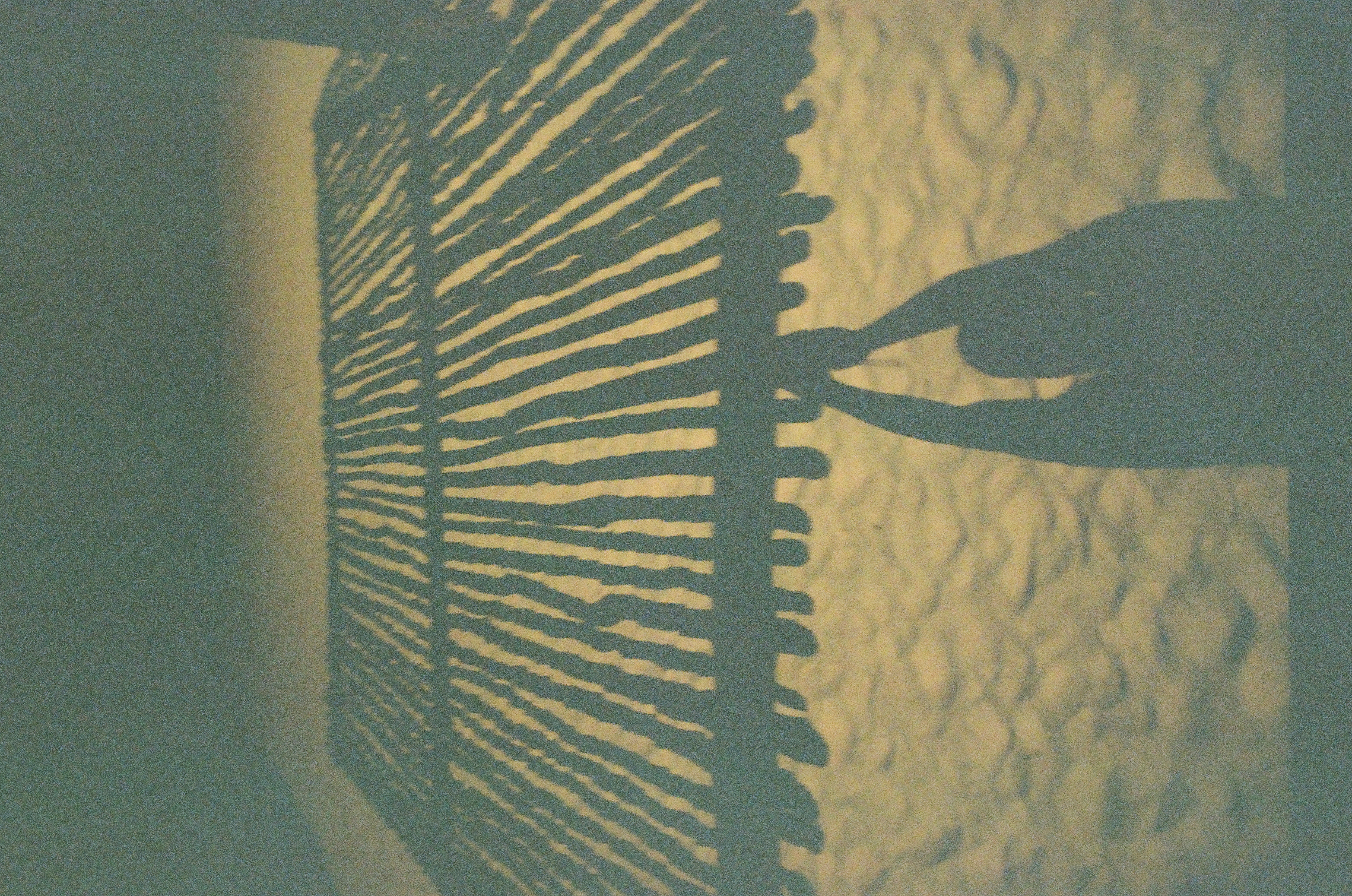 Dense parallel shadows cover a textured surface while a human silhouette with raised arms extends from the lower edge.