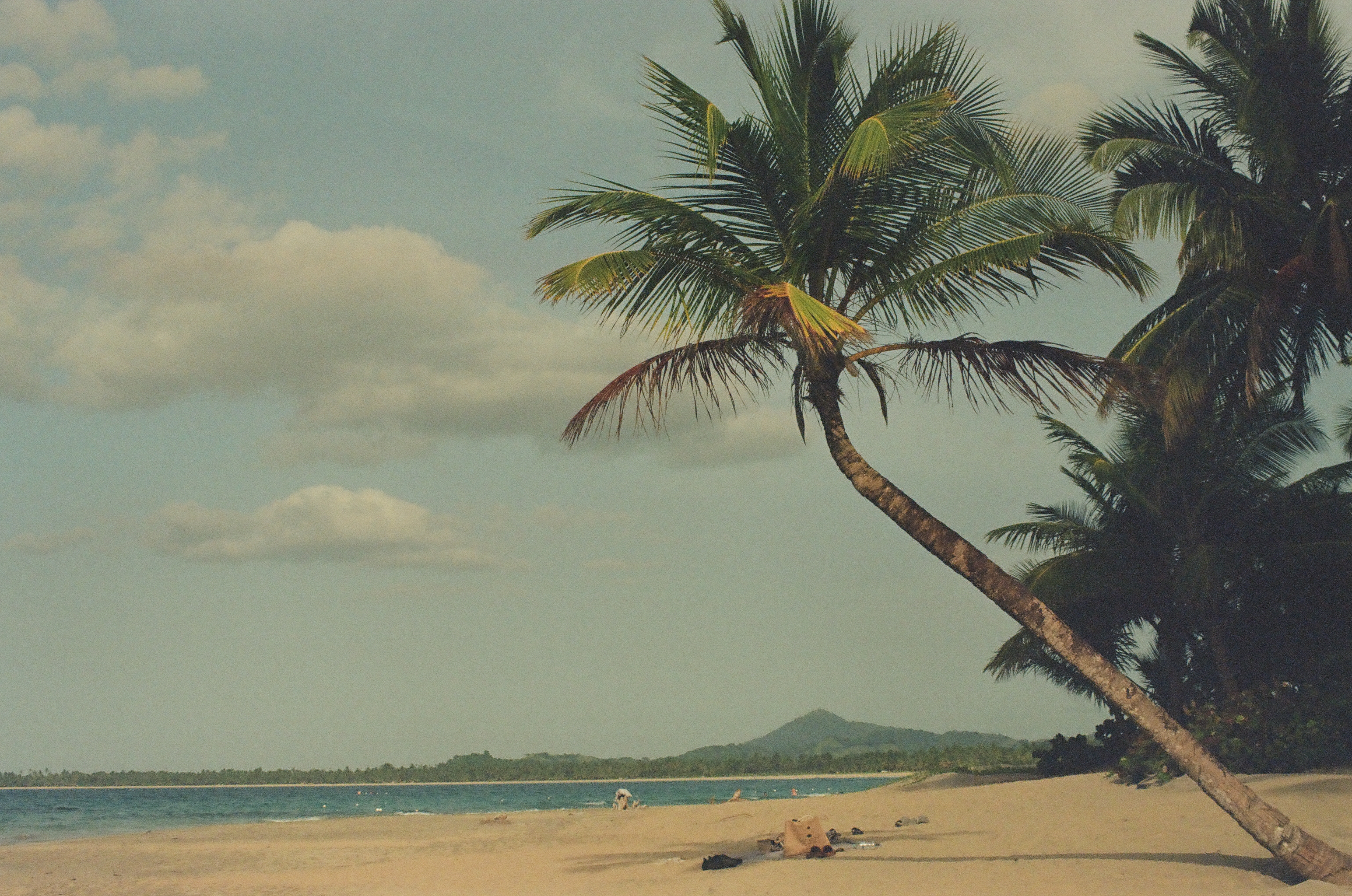 A single coconut palm leans diagonally across a sandy beach toward blue water, with a distant green peak and low clouds behind.