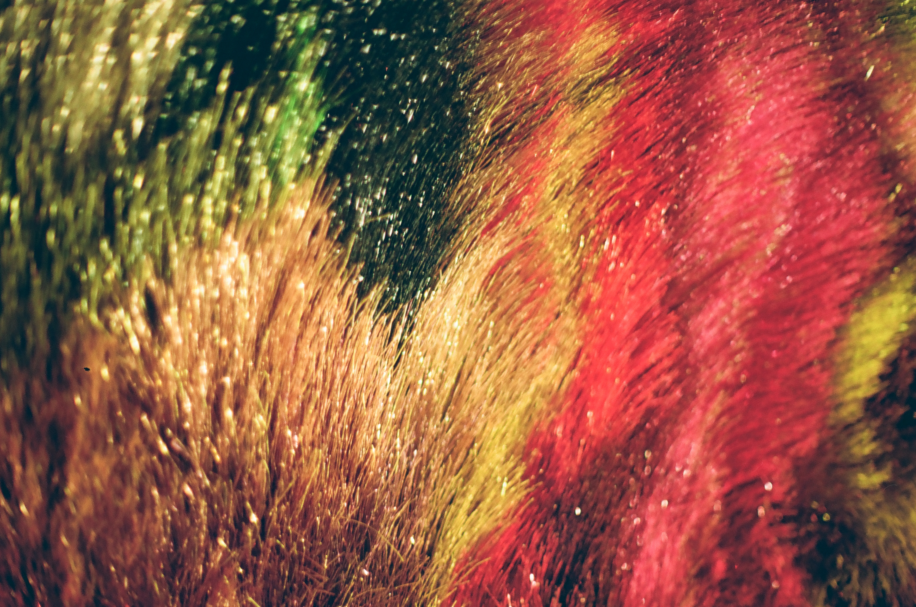Dense fine strands in red, gold, green, and dark tones sweep diagonally across the whole frame, dotted with small bright glints of light.