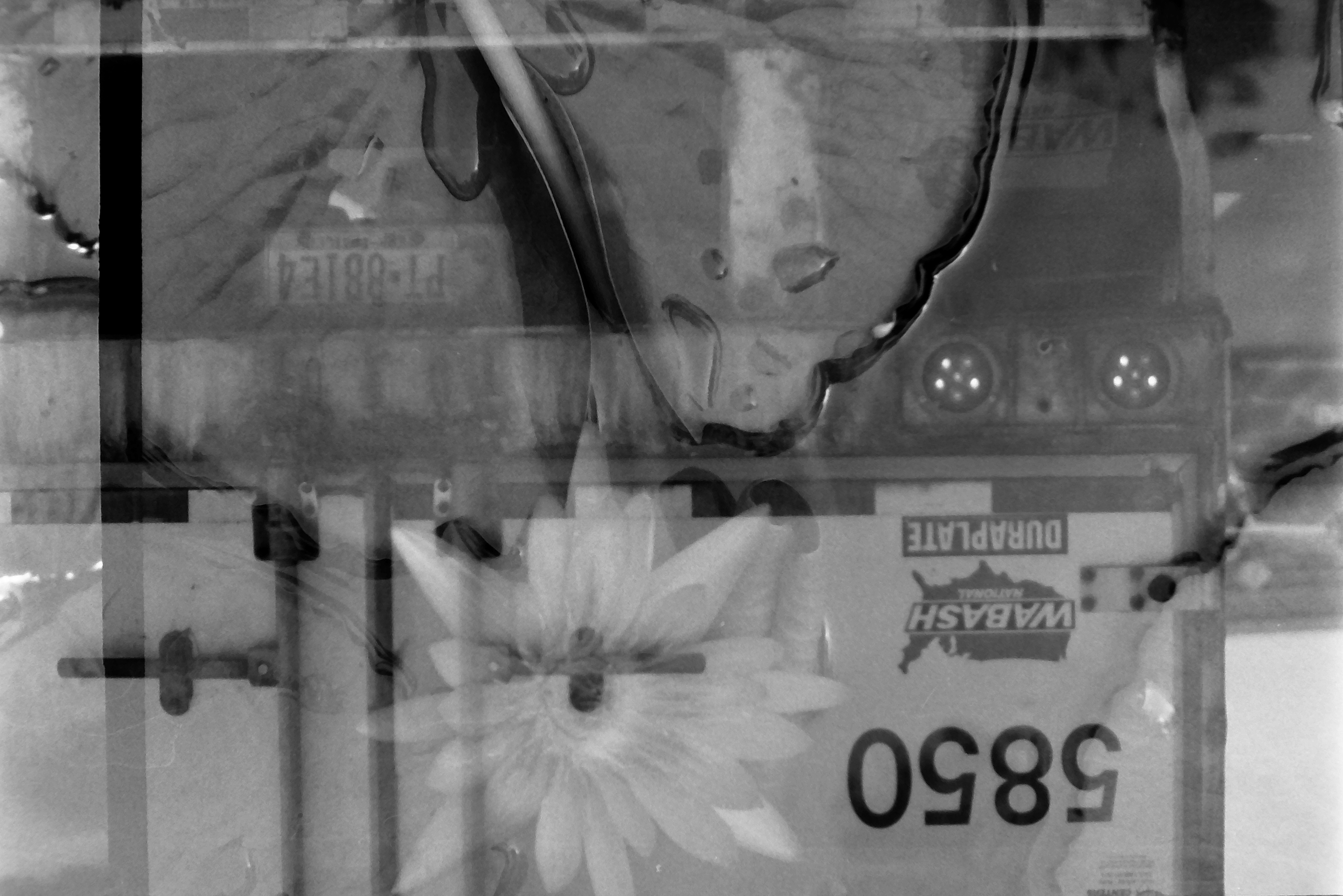 Numerals 5850 and the words WABASH and DURAPLATE on a trailer's rear doors, with a large many-petaled flower overlaid across the center.