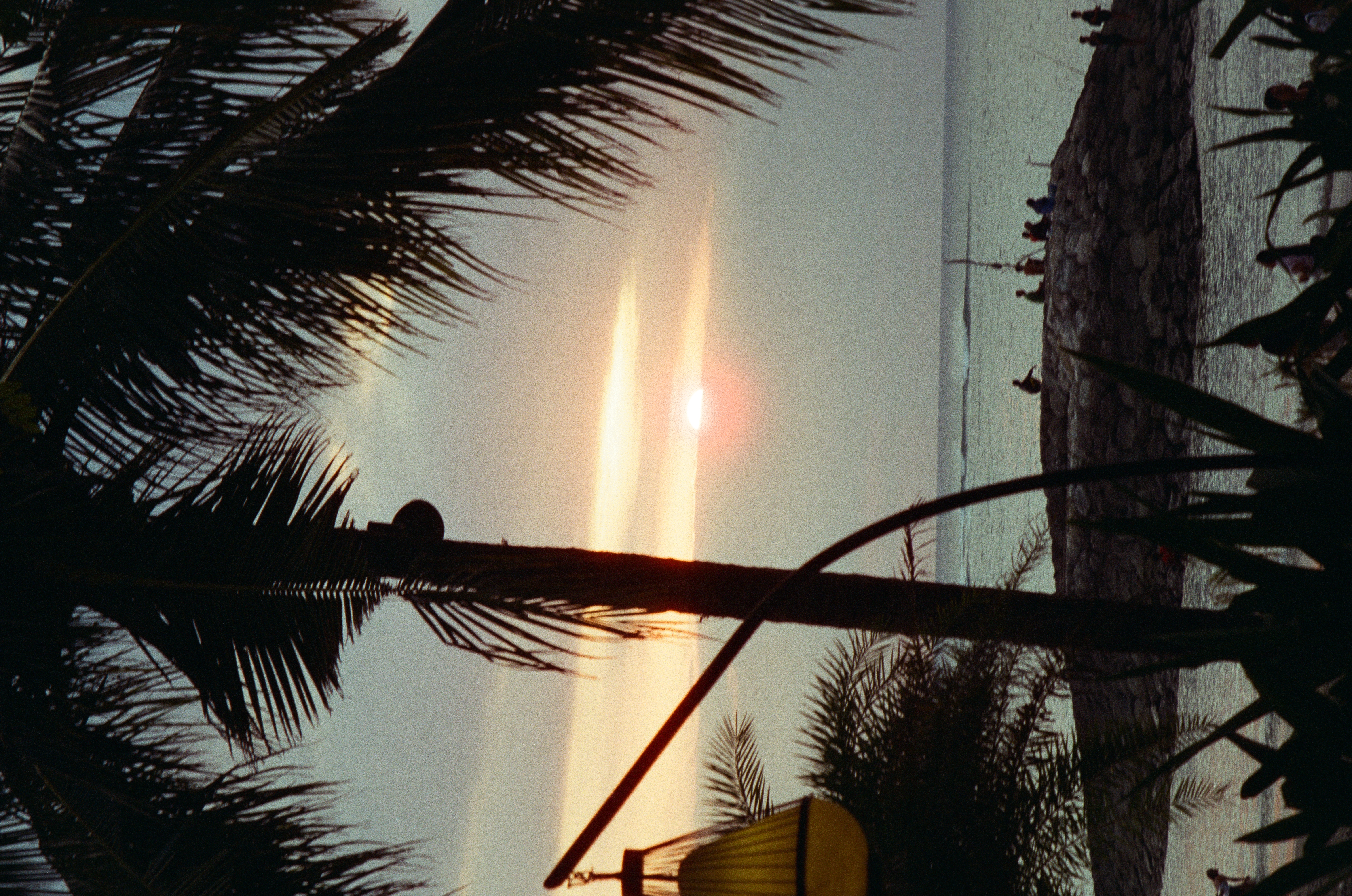 Silhouetted palms frame a low sun, rocky point, scattered people, coastal water, and a small breaking wave offshore.