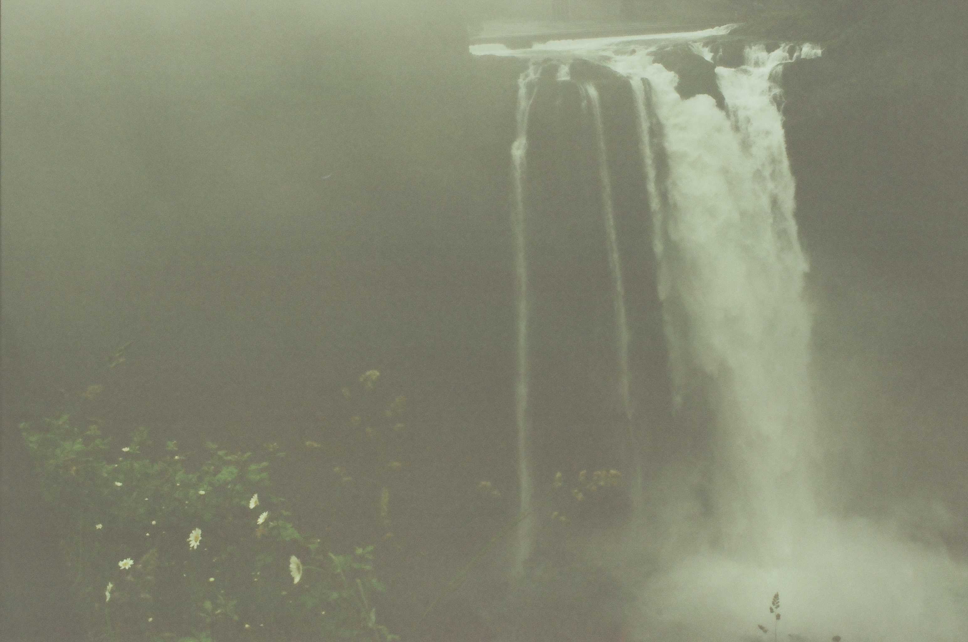 A broad waterfall drops through pale mist into a dark basin bordered by shadowed forest.