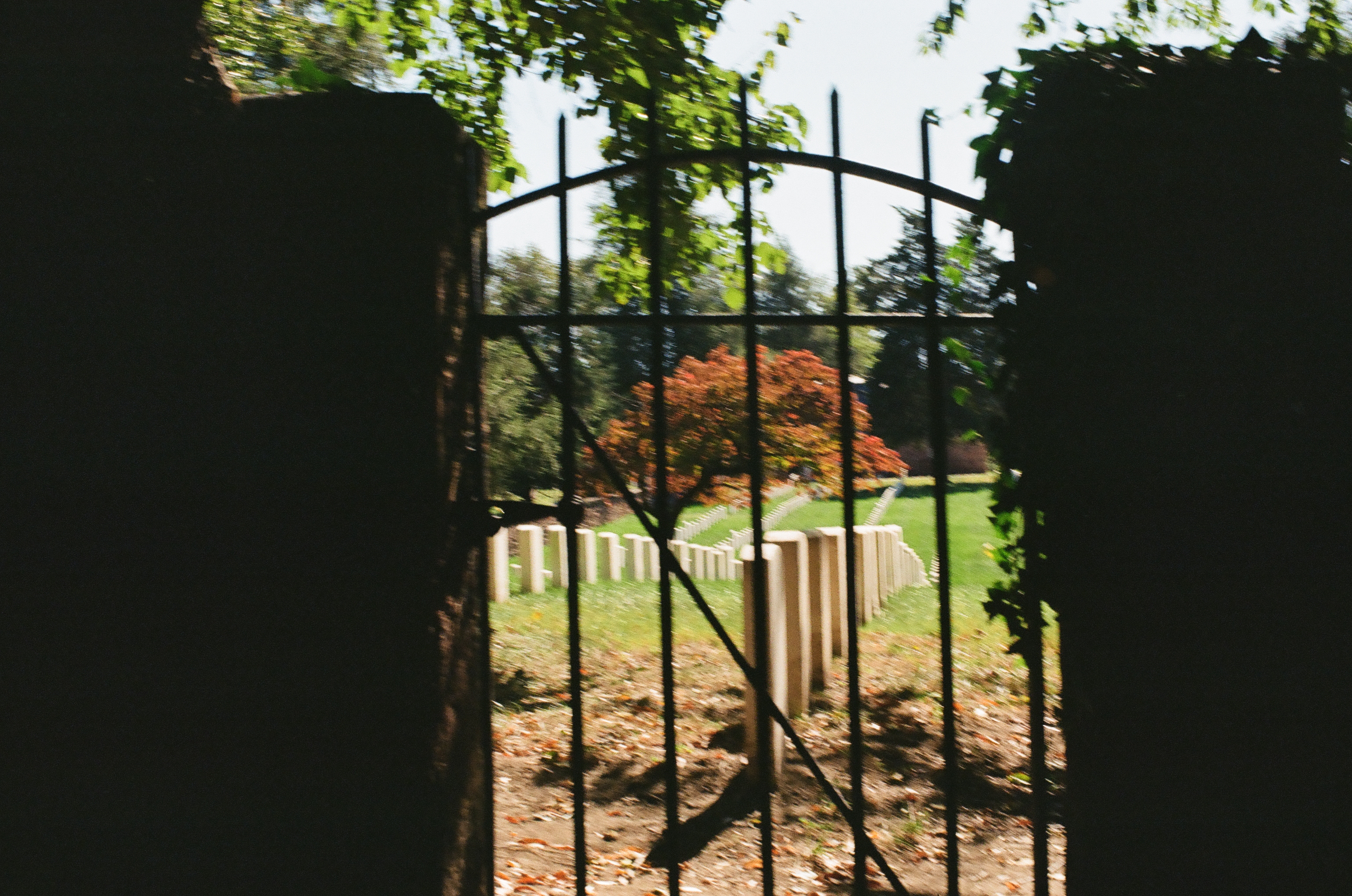 Dark gate bars fill most of the frame in close focus, while headstones and an orange tree blur softly beyond them.