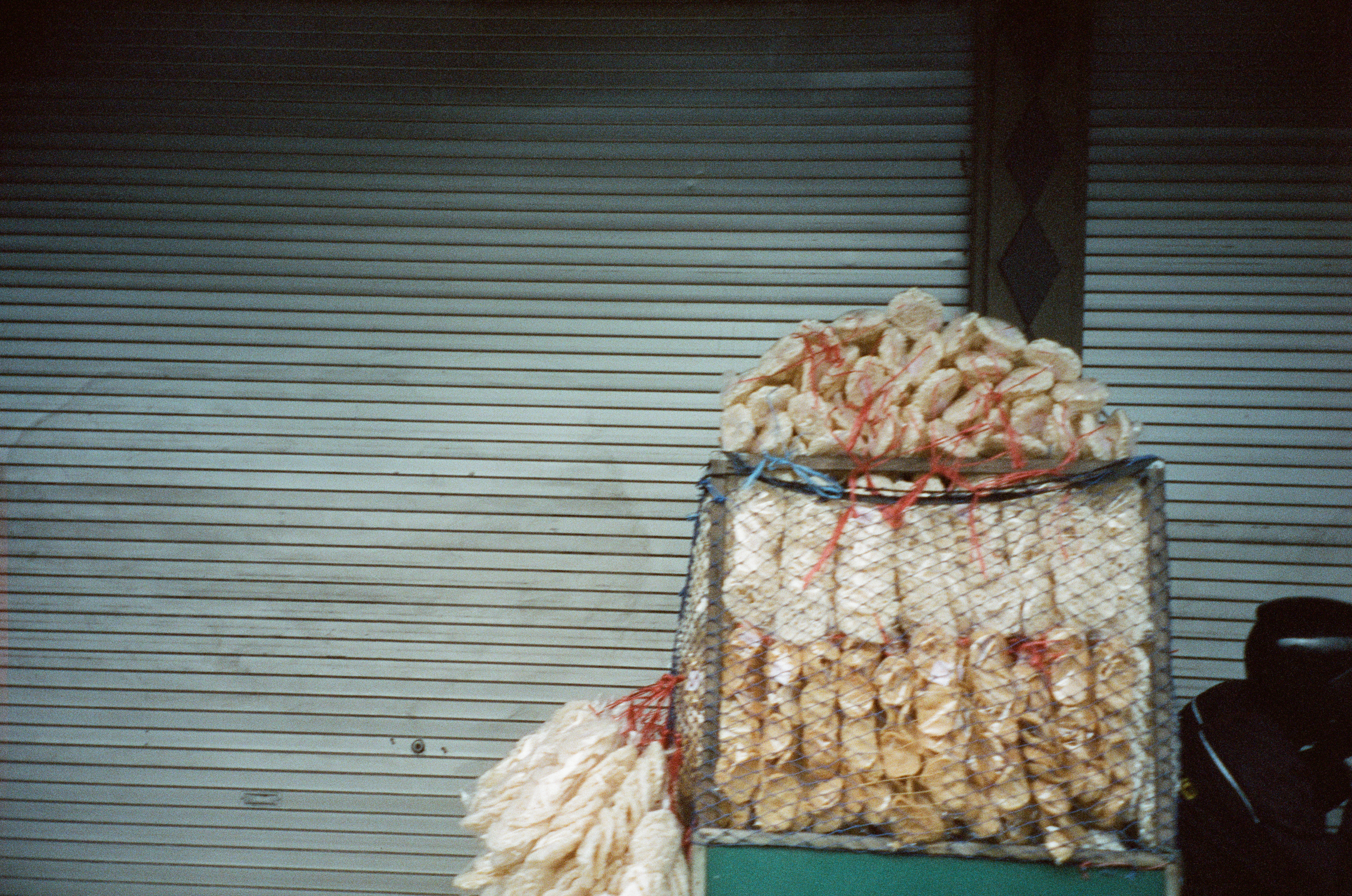 A wire-sided container holds clear bags of pale irregular pieces while red and blue ties cross portions of the load before a closed shutter.