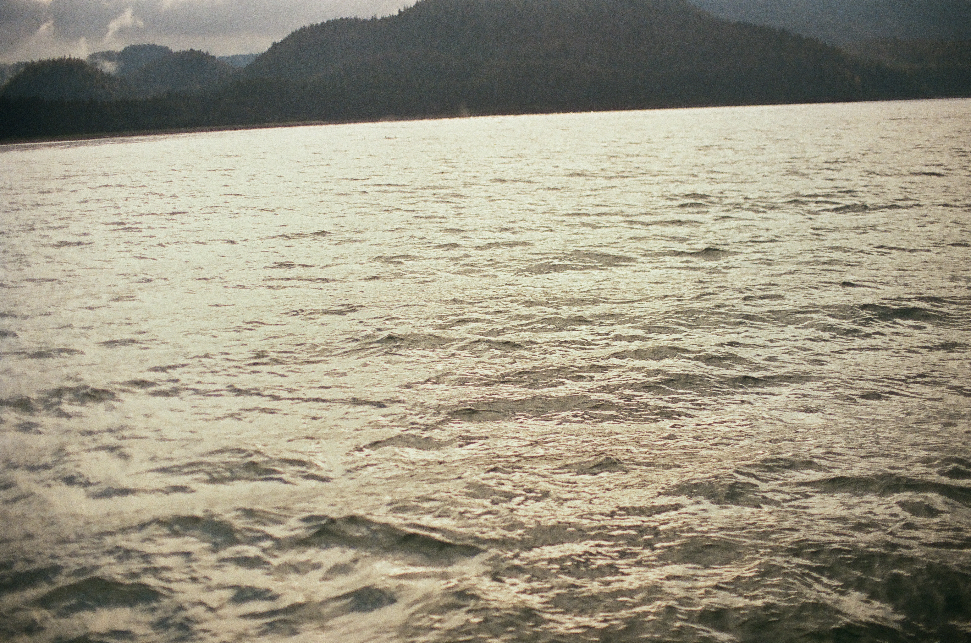 Overlapping ripples and pale highlights cover open water beneath a narrow dark forested ridge.