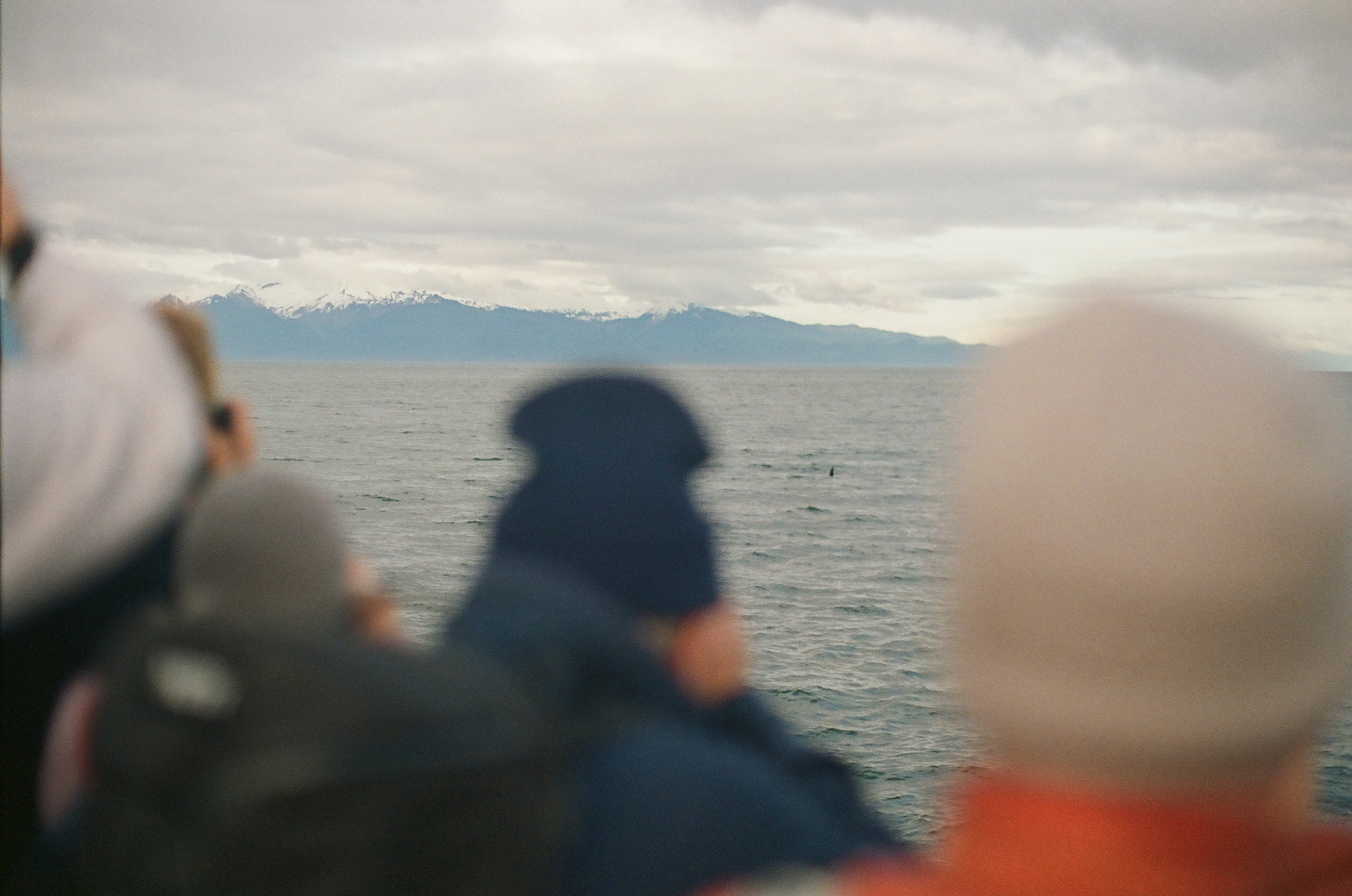 Foreground observers watch gray water, small dark surface marks, and a distant pale mountain range.