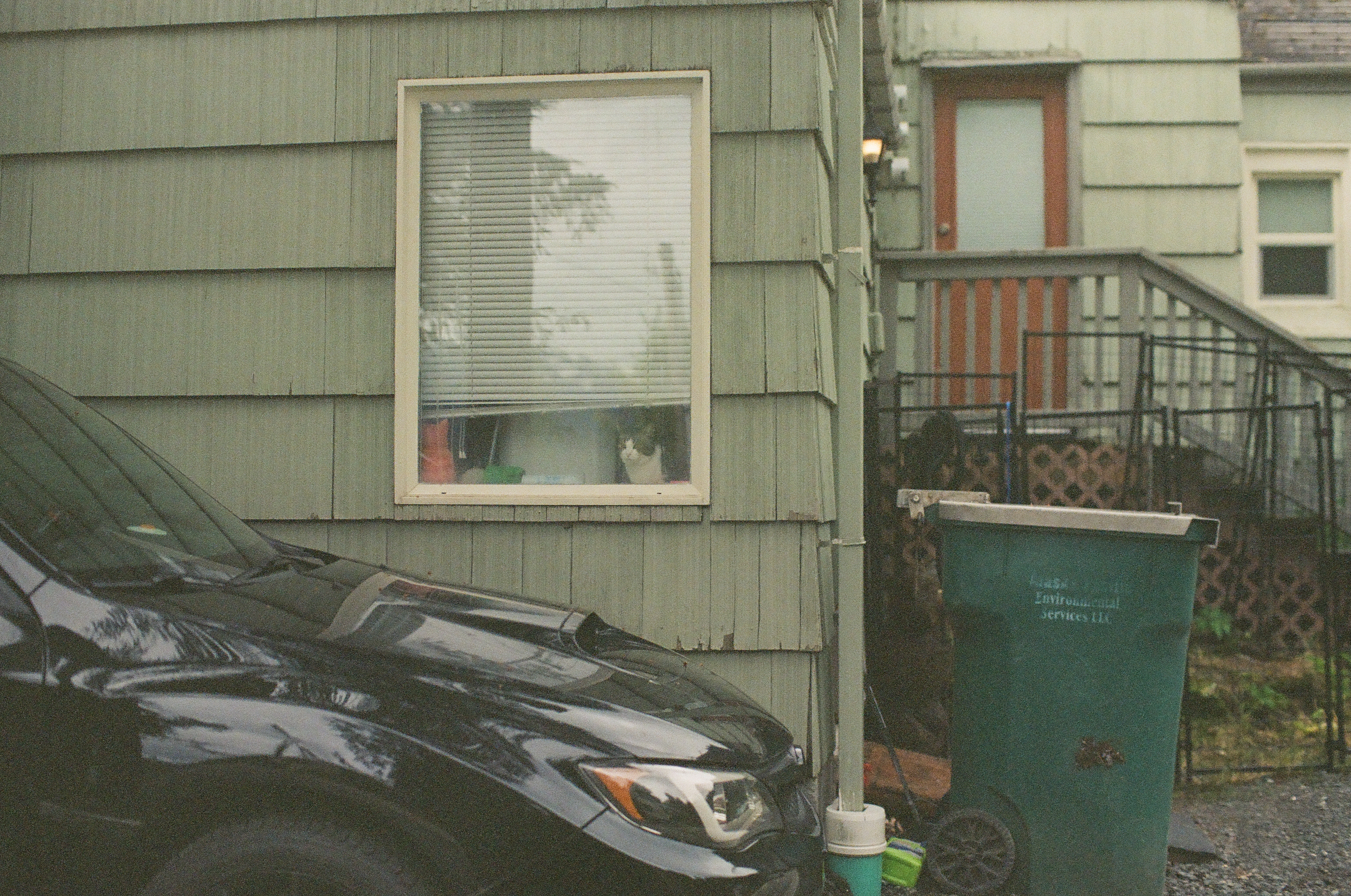 A black car's hood sits below a window where a cat watches, beside a teal municipal trash bin and a distant red door.