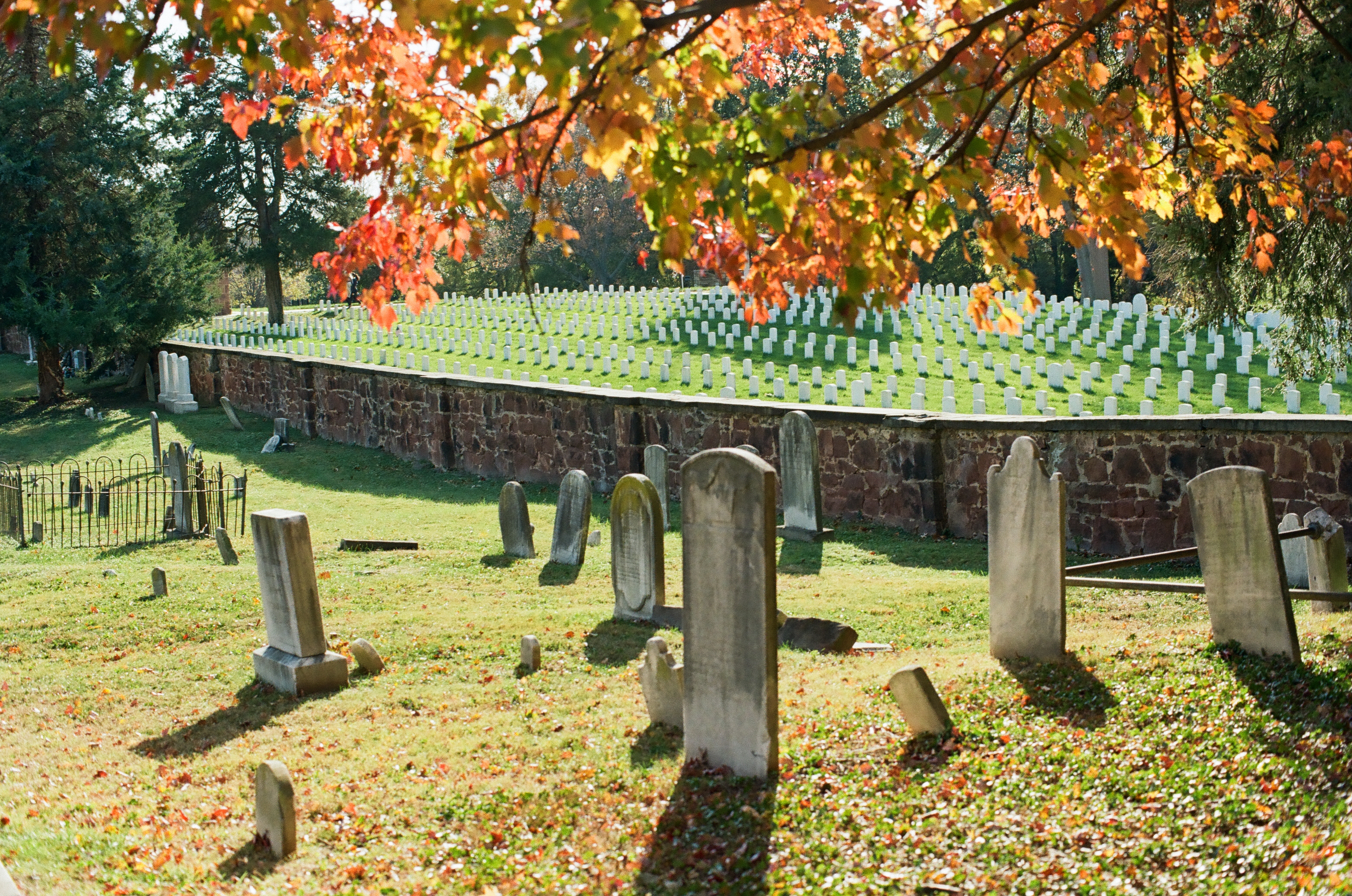 Weathered stone markers rise from sunlit grass beneath orange leaves with ordered rows continuing beyond a fieldstone wall.