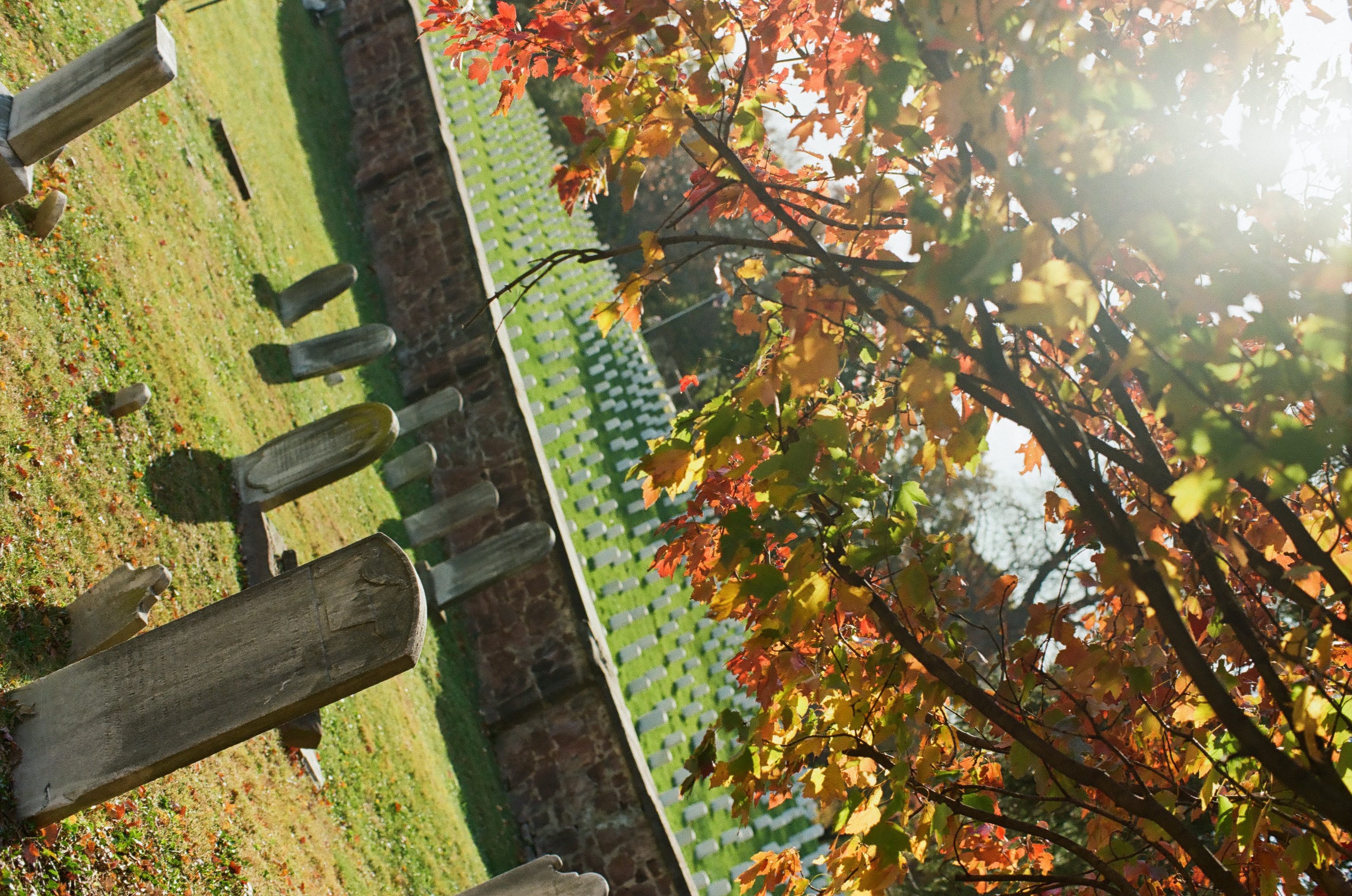 Sunlit autumn leaves arch above leaning grave markers, a low stone wall, and distant rows of pale markers.