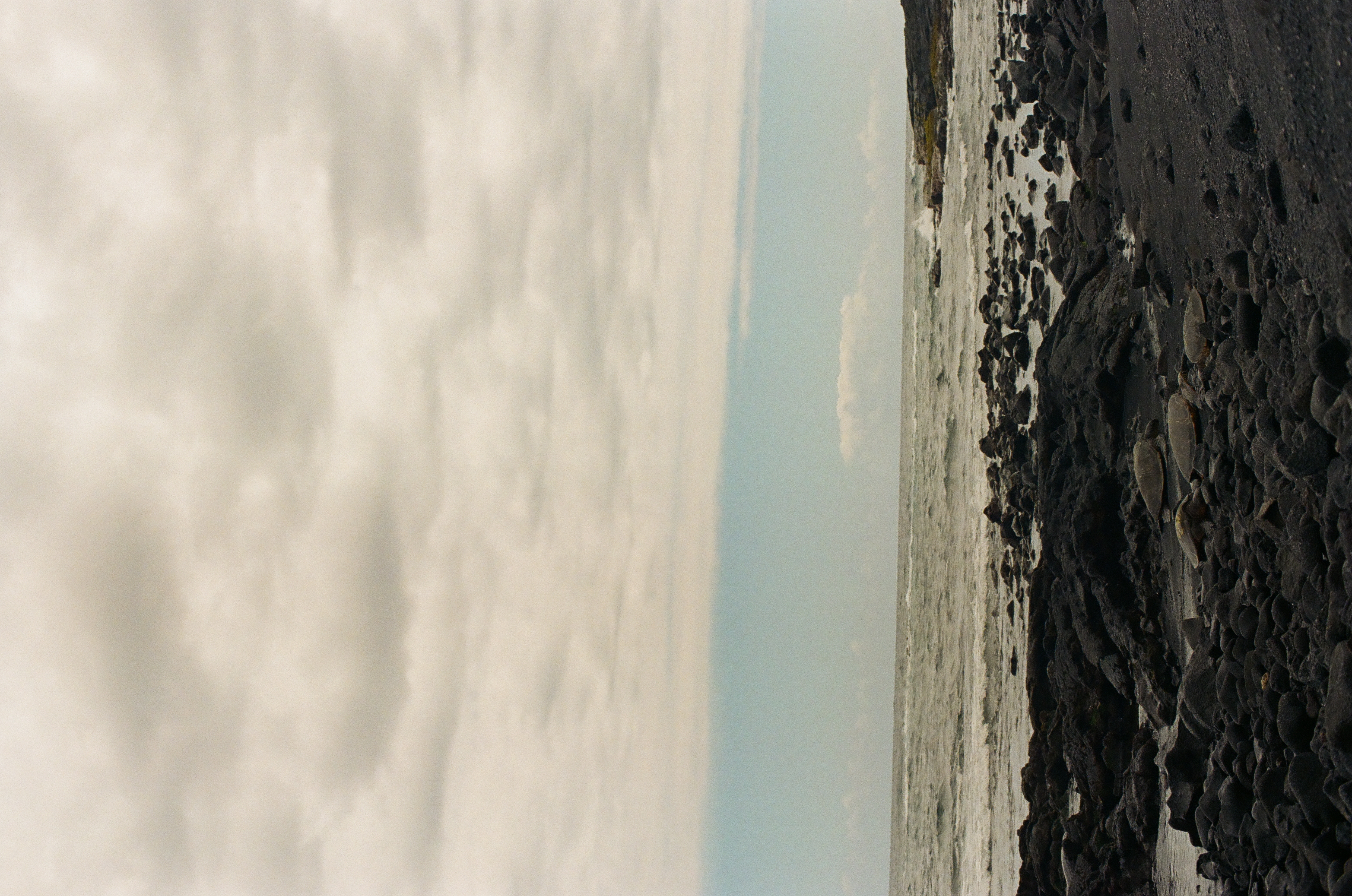 Foam washes along a black rocky ledge dotted with small shell-like growths, opening onto calm blue water beneath a pale cloud-filled sky.