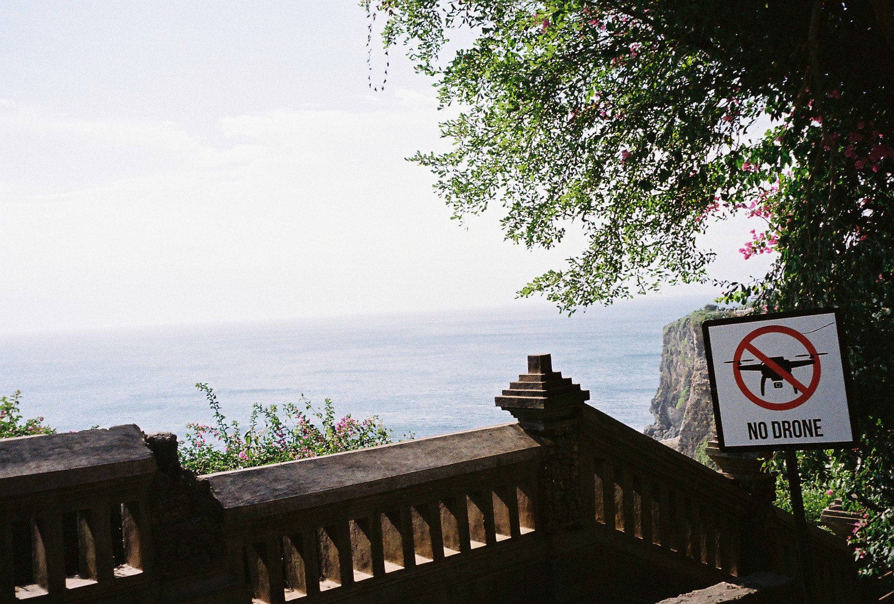 A stone railing overlooks pale water and a distant cliff beneath flowering branches, beside a sign reading “NO DRONE.”