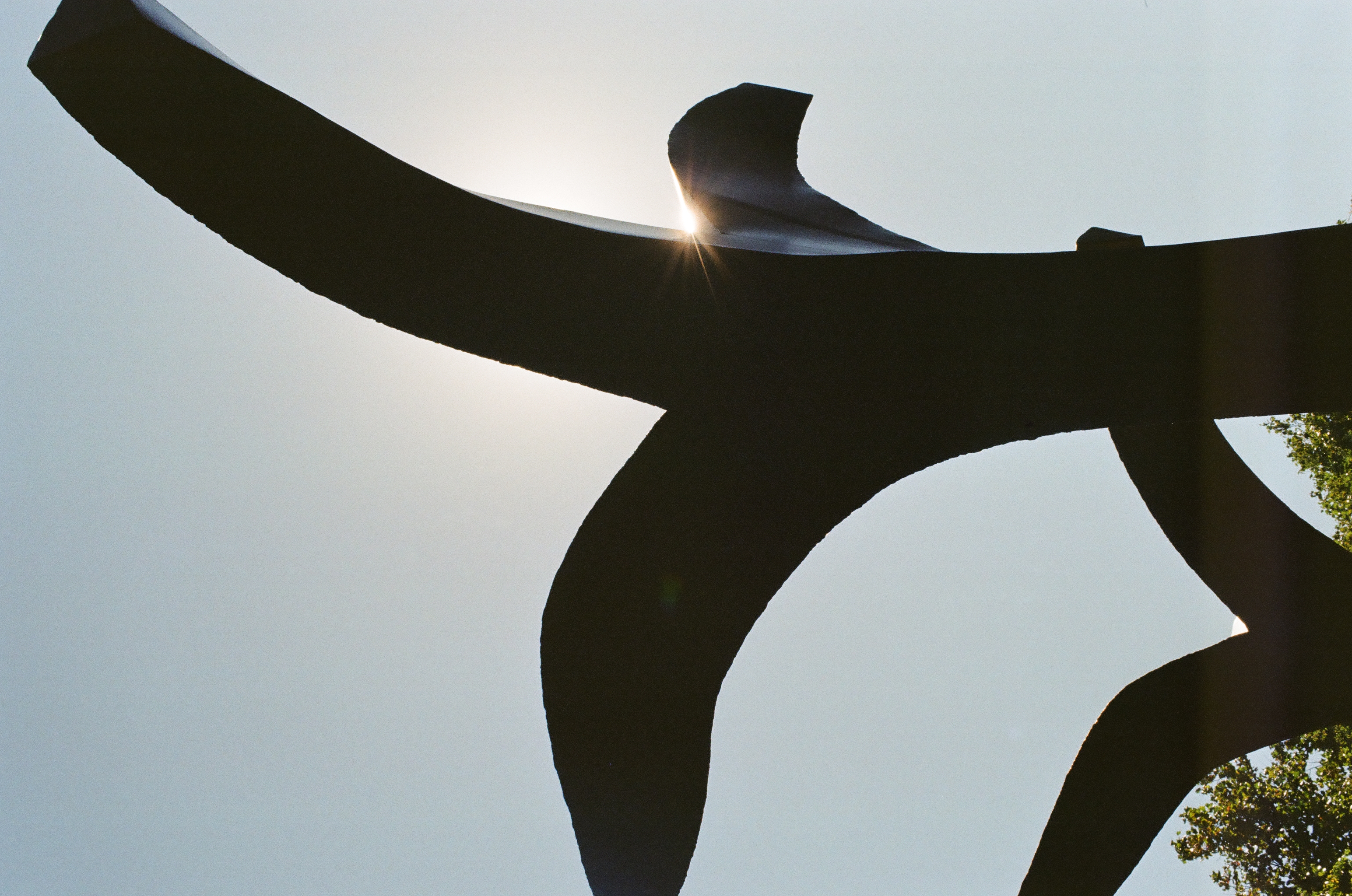Dark curved structural forms cross a pale sky as sunlight shines through a narrow junction above leafy foliage.