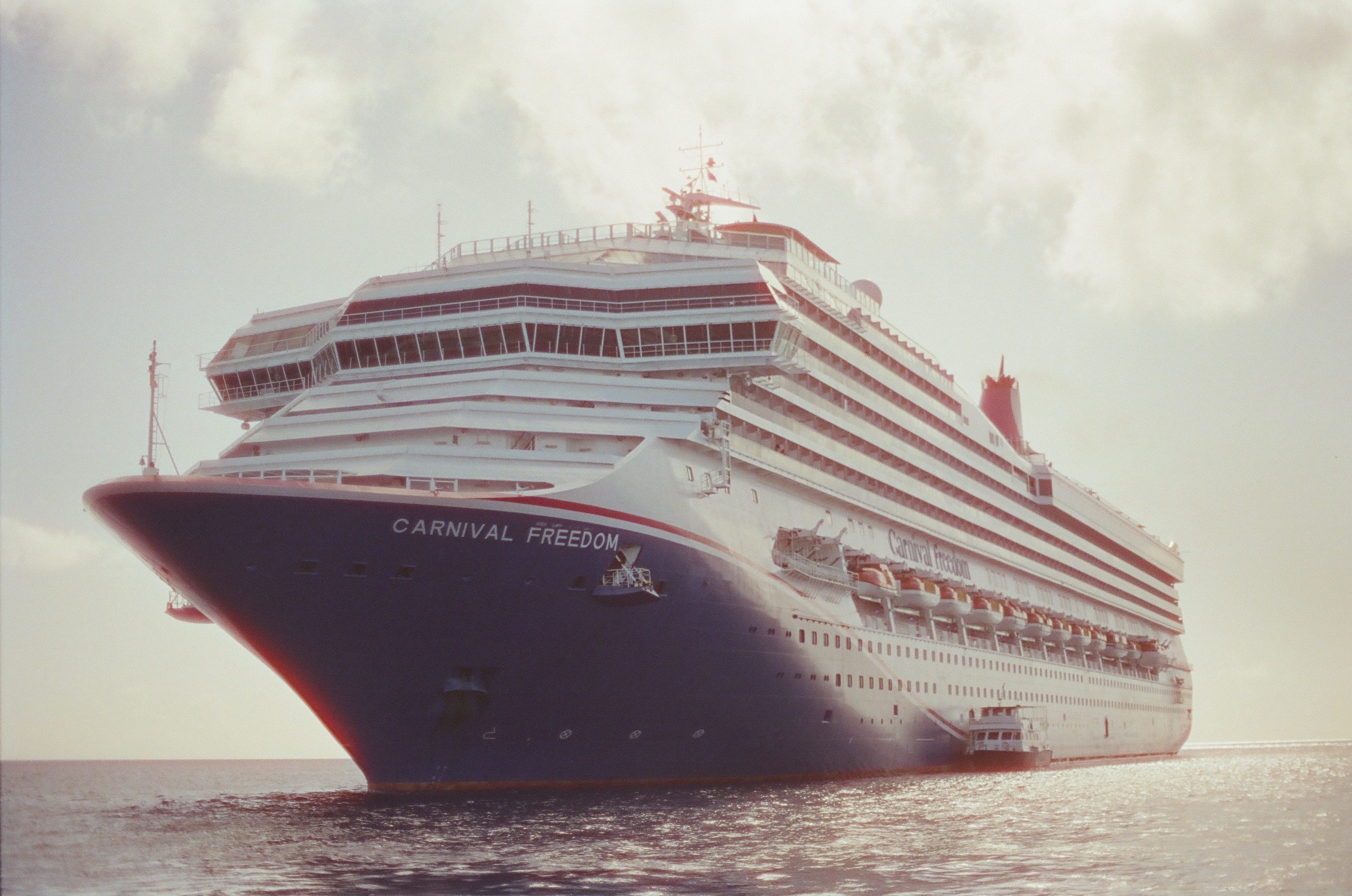 The passenger ship CARNIVAL FREEDOM rises above dark water, with a blue bow and stacked white decks filling the frame.