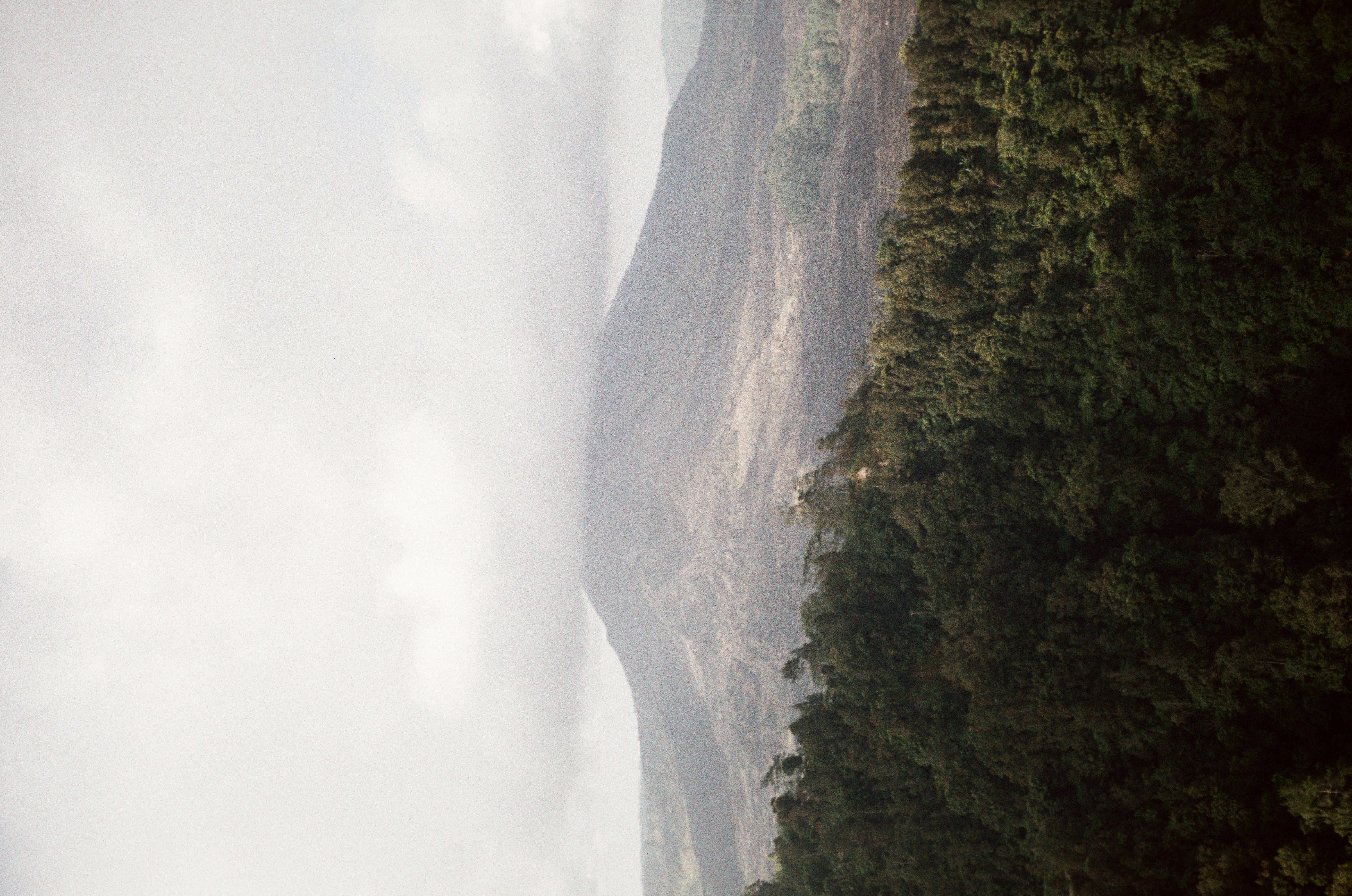 A broad mountain rises beyond dark forest, with pale exposed lower slopes and its upper portion partly covered by low cloud.