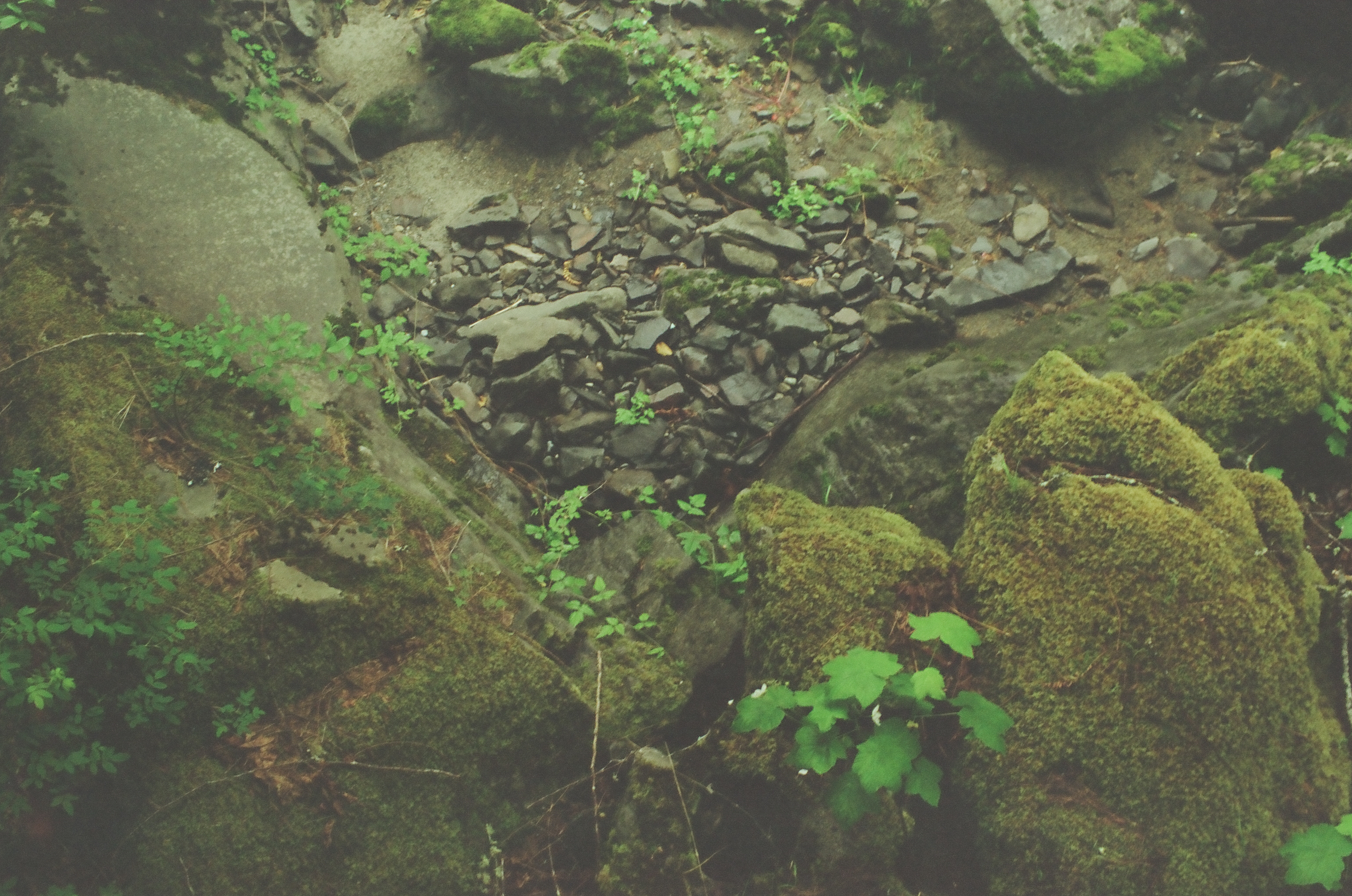 Rounded moss-covered stones rise beside a narrow creek scattered with dark rocks and leaves.
