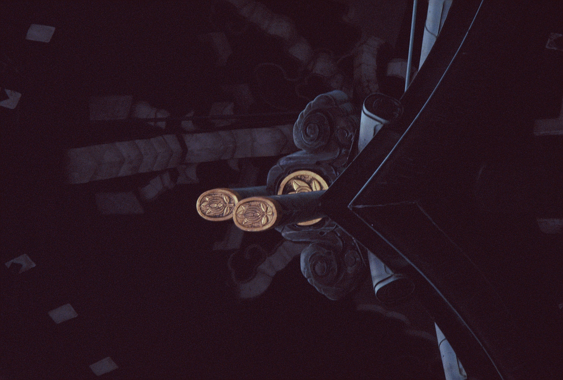 Two round gold medallion crests catch the only light at the peak of a dark tiled roof ridge.