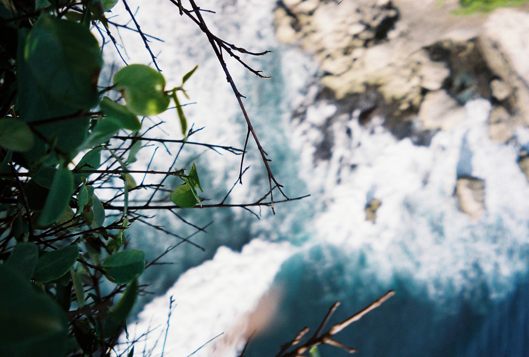 Bare twigs and a few green leaves cross the foreground, sharply focused against a blurred backdrop of foaming surf and pale rock far below.