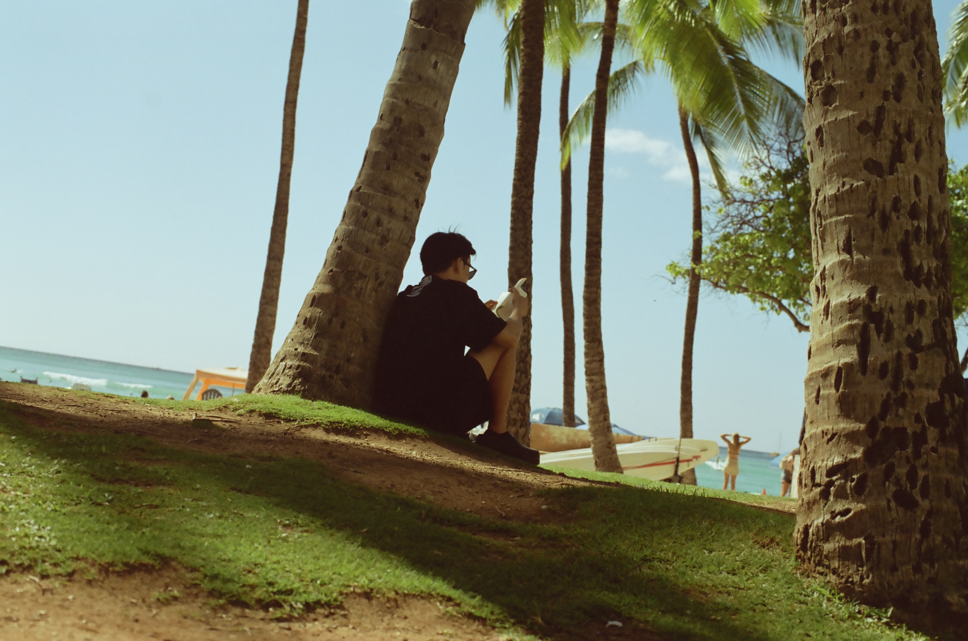A person sits against a leaning palm while tall trunks frame blue water and distant beach activity.