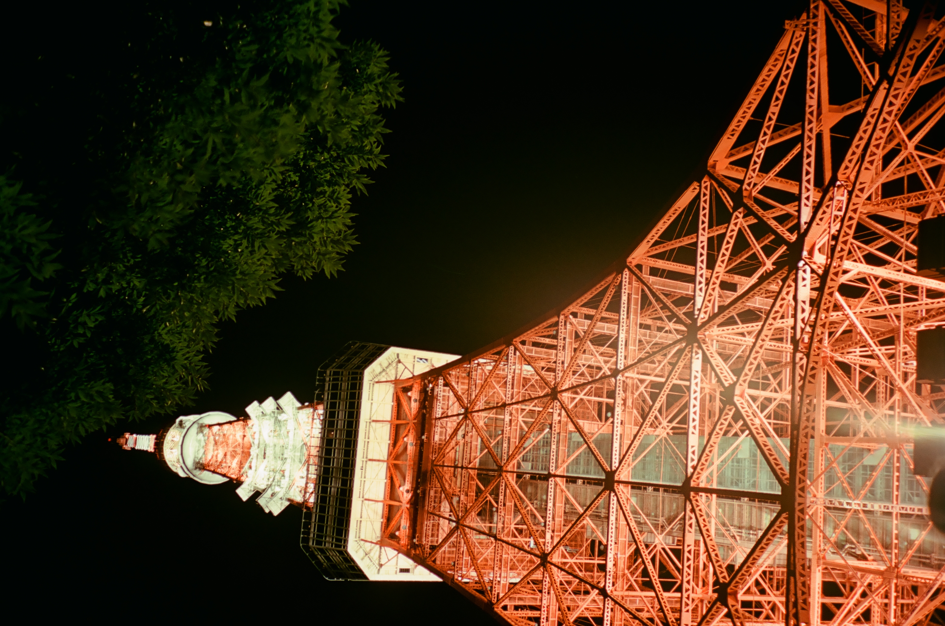 Green leaves overhang the top of the frame beside the white and orange upper section and antenna of a lit lattice tower.