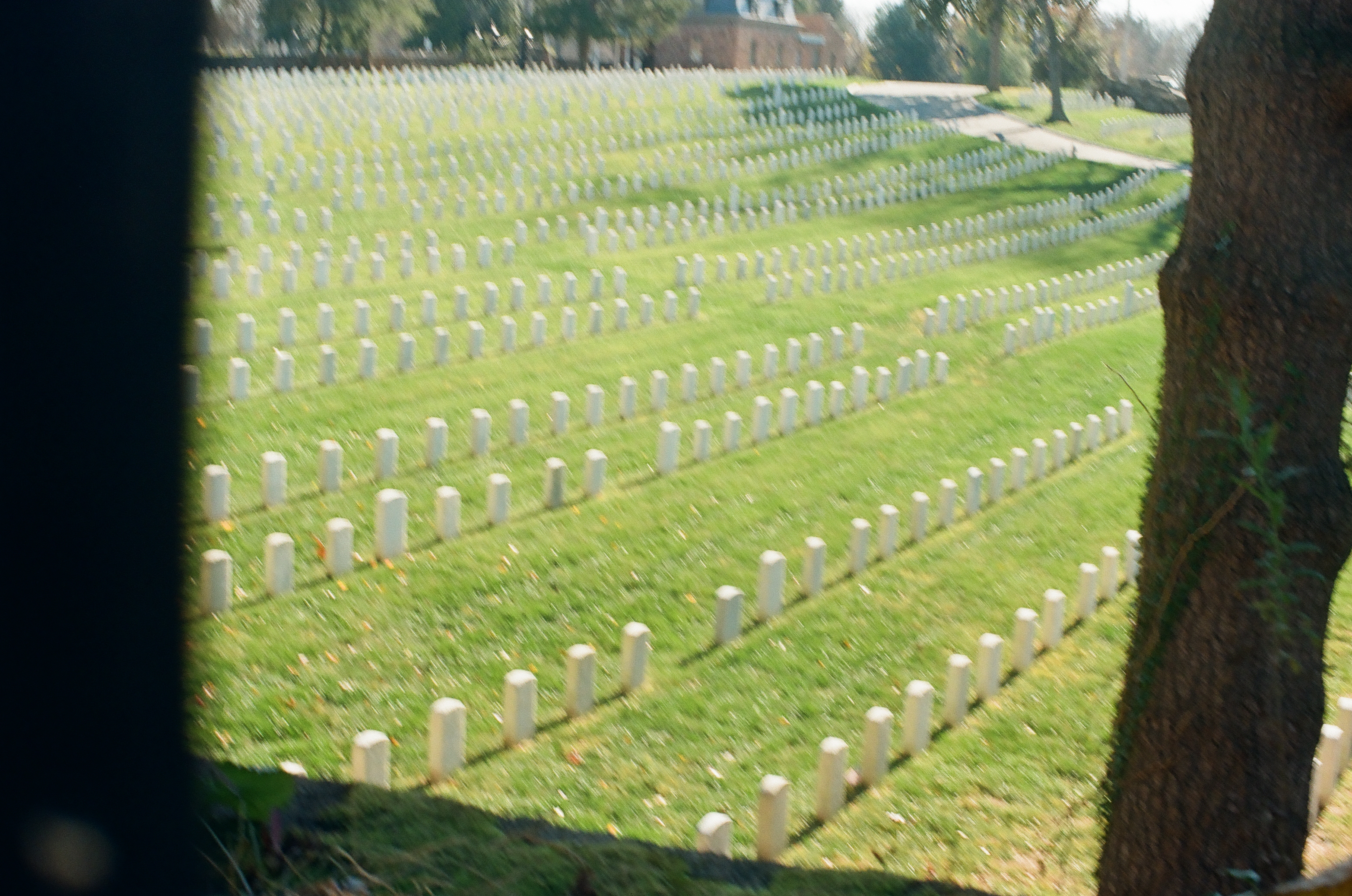 An overall soft view shows curving rows of pale grave markers across a green hillside between dark foreground forms.