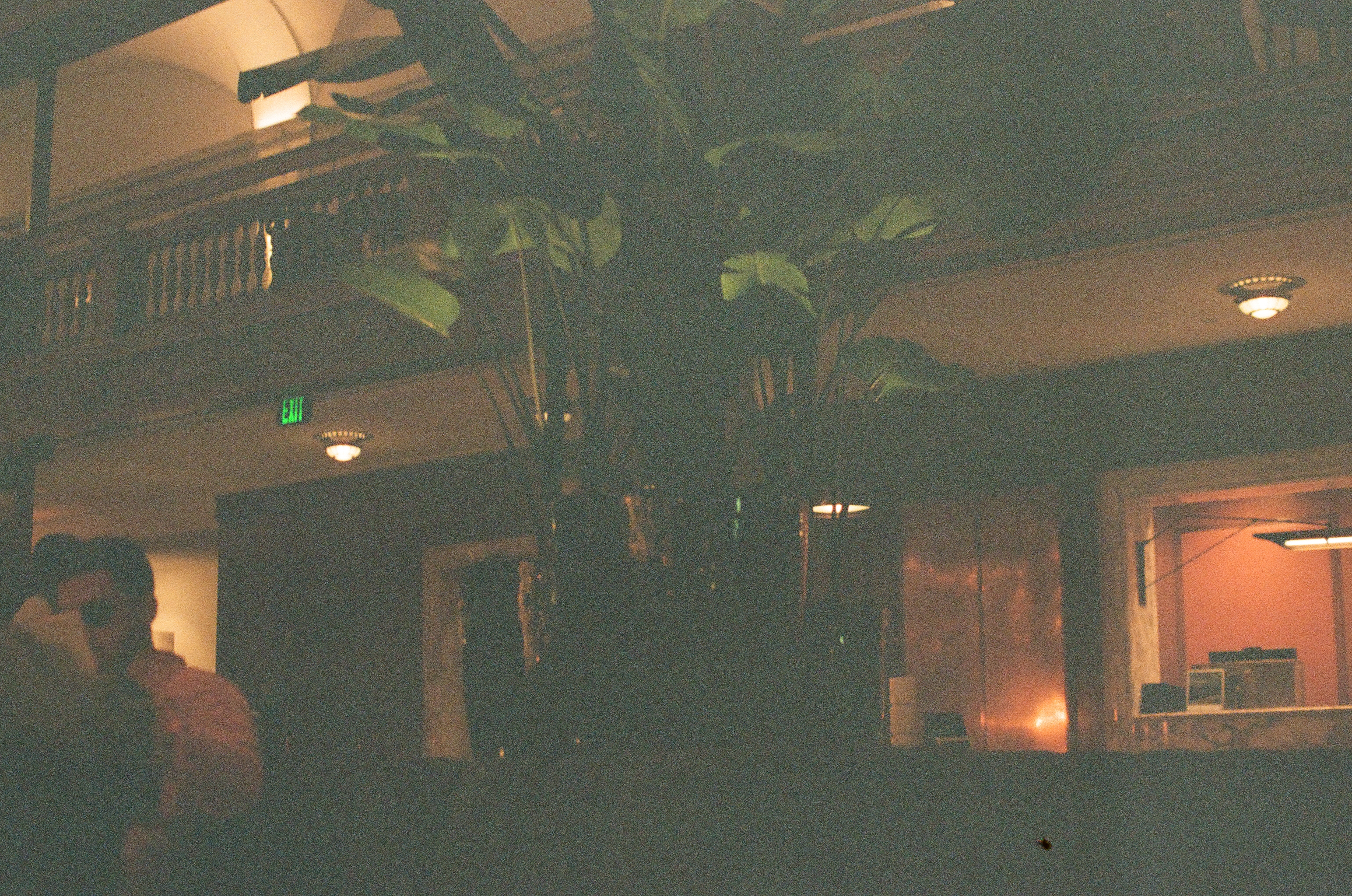 A tall leafy plant rises in a dim lobby beneath a balcony rail, a glowing green exit sign and a silhouetted figure nearby.