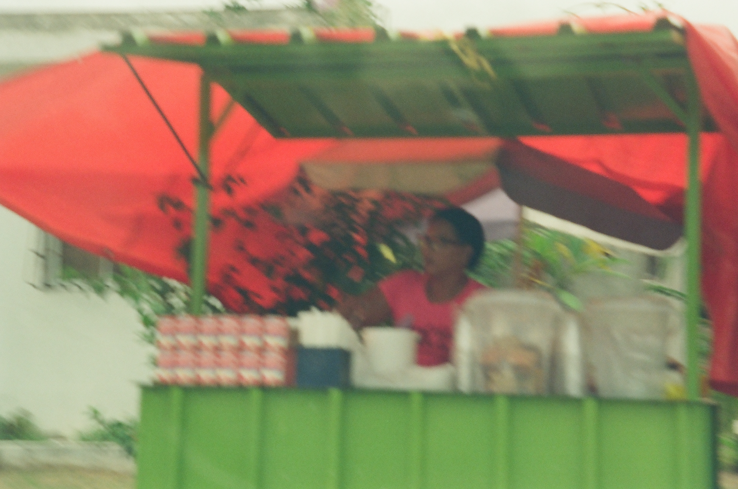 A blurred vendor in a red shirt stands behind a counter of goods beneath a green-framed stall topped with red and dark awnings.