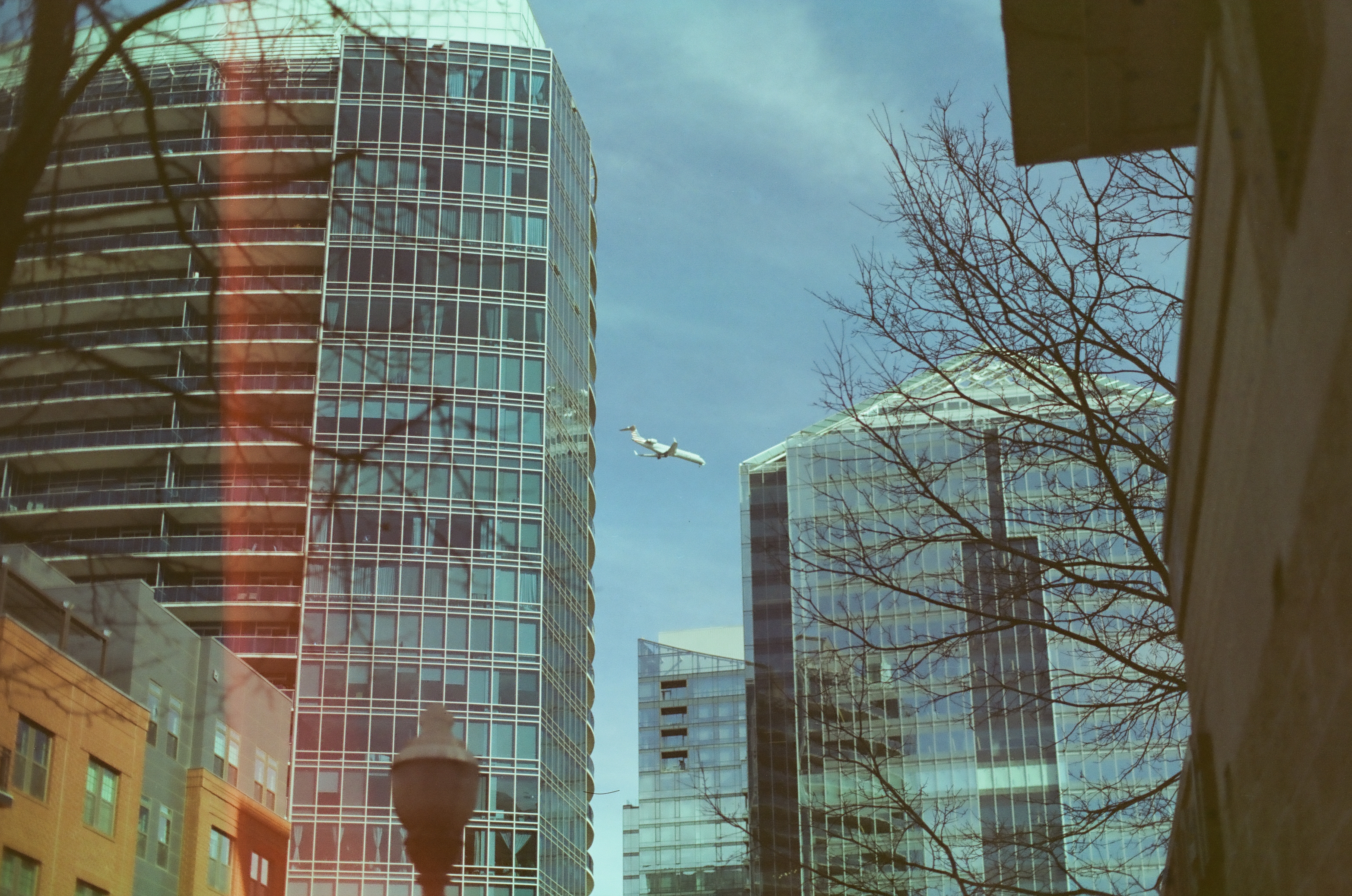 A small aircraft crosses between reflective towers as bare branches, a streetlamp, and a dark overhang layer the foreground.