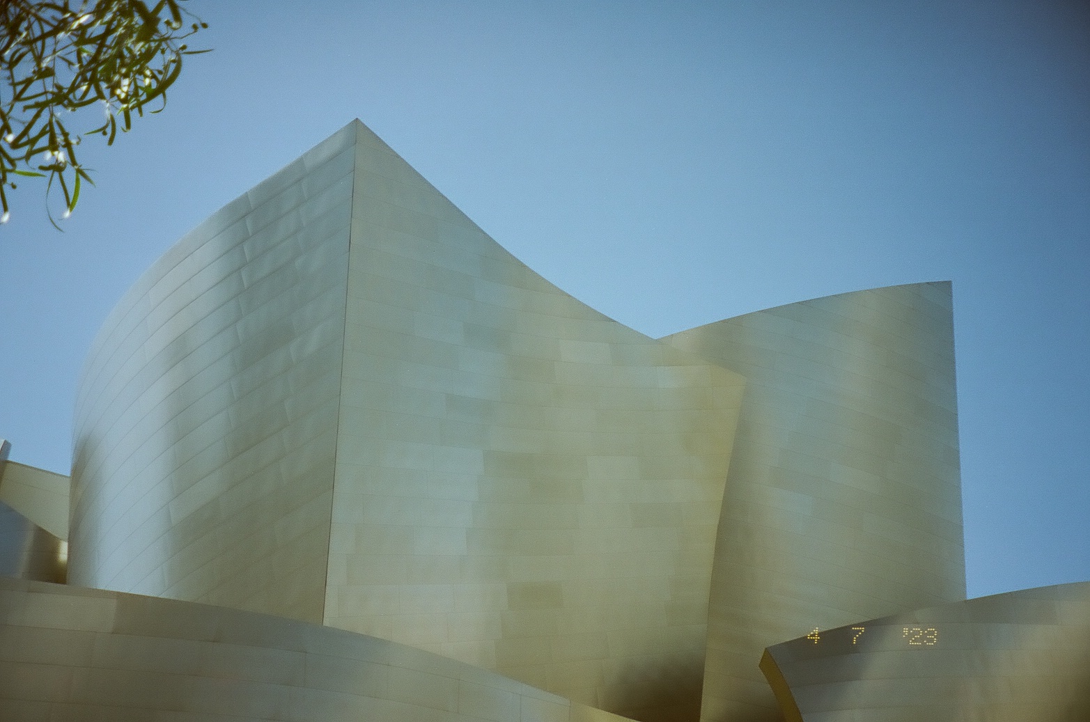 Broad pale metal walls fold into overlapping curves beneath a clear blue sky and a small leafy branch.