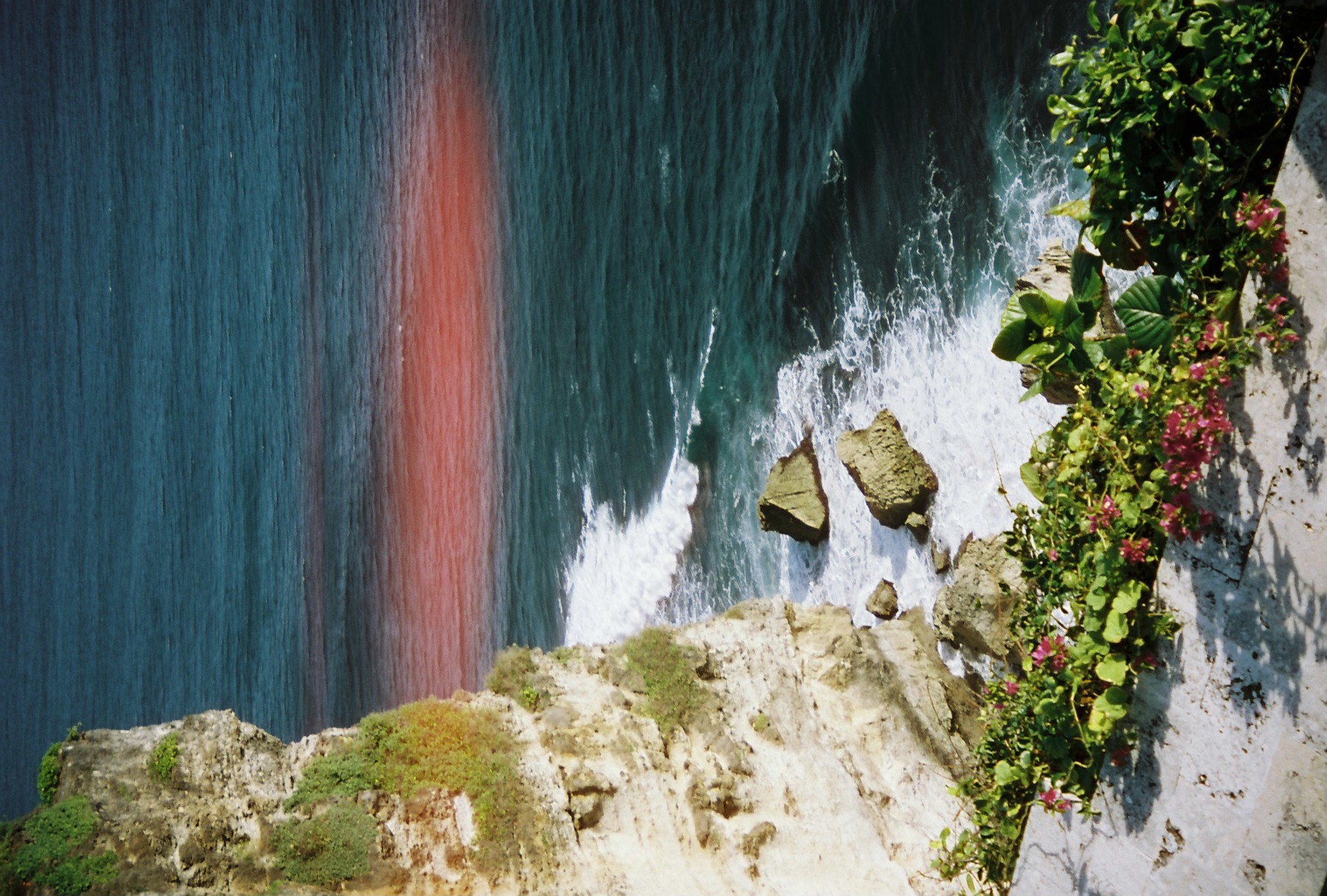 A reddish streak cuts across deep teal water where waves break white against tan rocks, framed by pink bougainvillea blossoms along the cliff's edge.