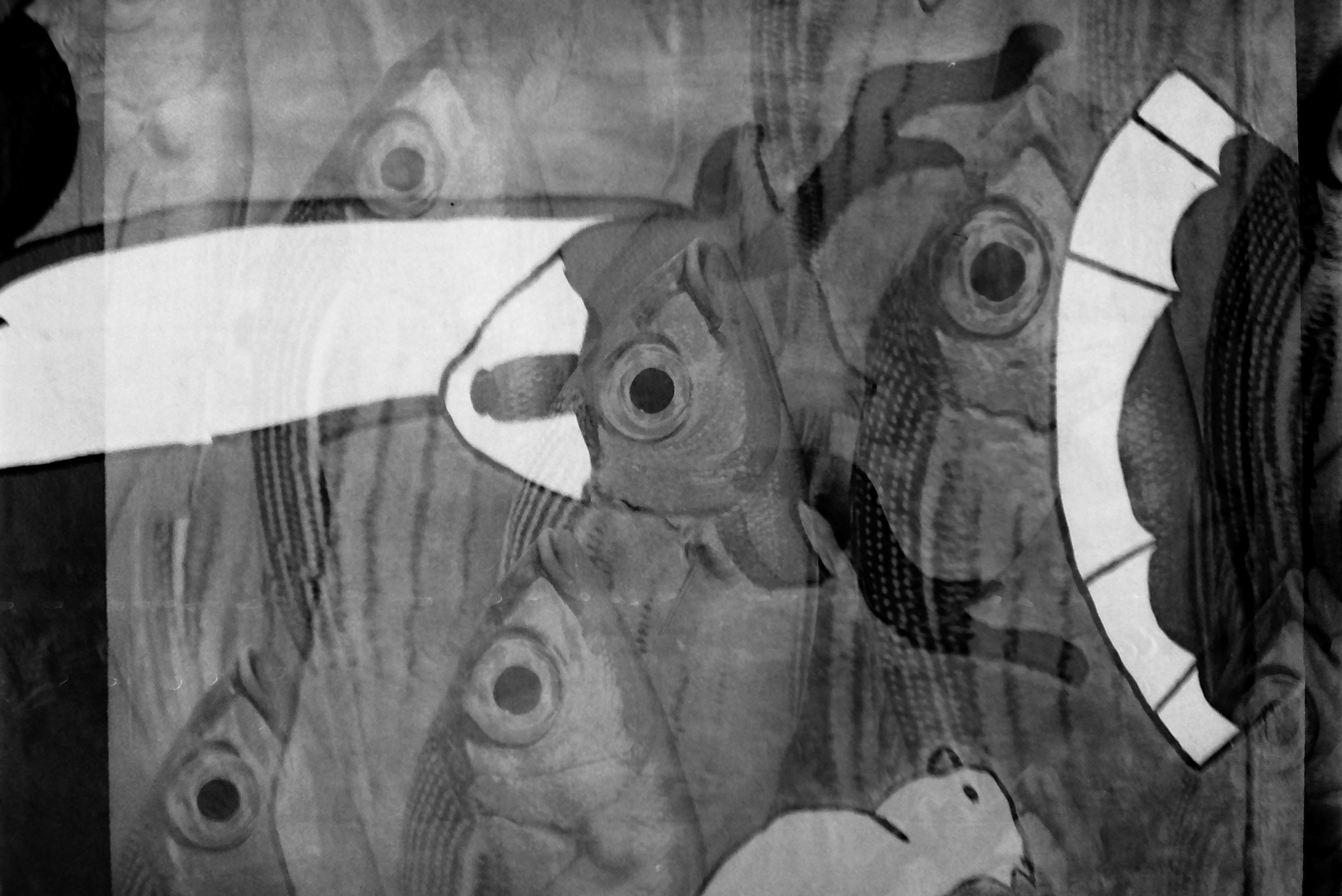 A painted open mouth with white teeth hangs above several large-eyed painted fish, while a white bird with a curved beak sits at the right edge.