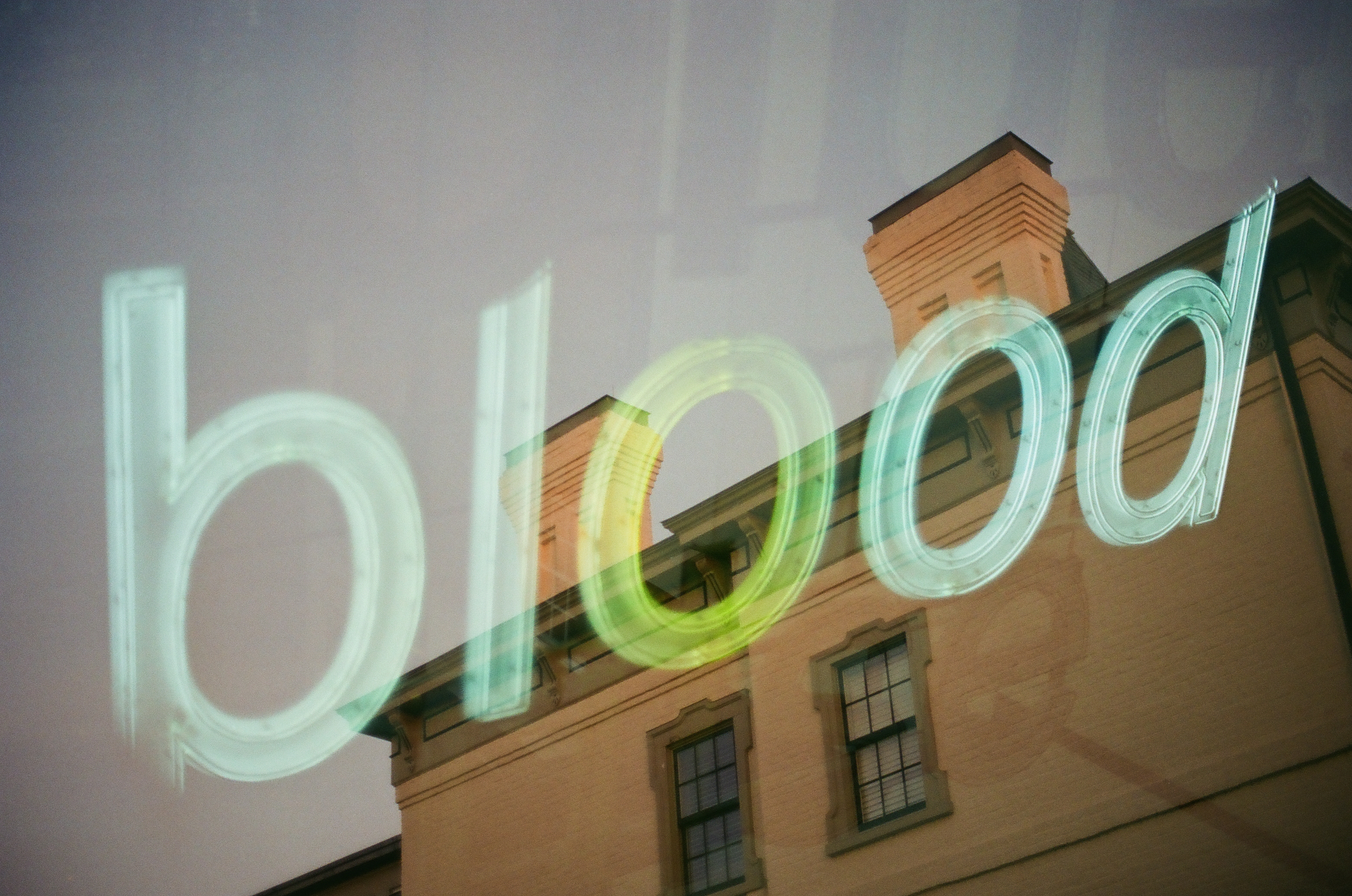 Pale green tube letters spell blood in lowercase across glass, with a brick building, chimneys, and sash windows reflected behind.