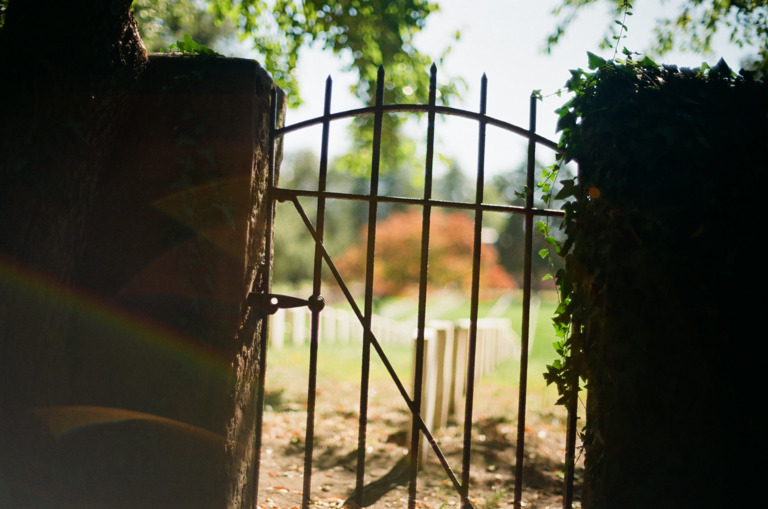 A bright rainbow flare crosses a brick gatepost beside black iron bars and a softly focused green lawn.