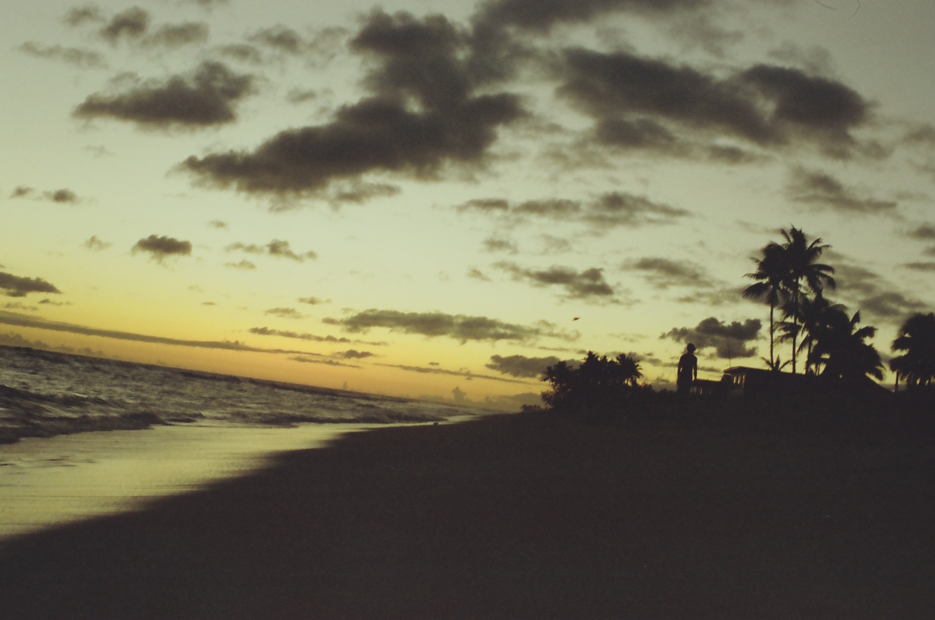 Dark palm trees and low buildings line a beach beneath a clouded yellow-green sunset sky.