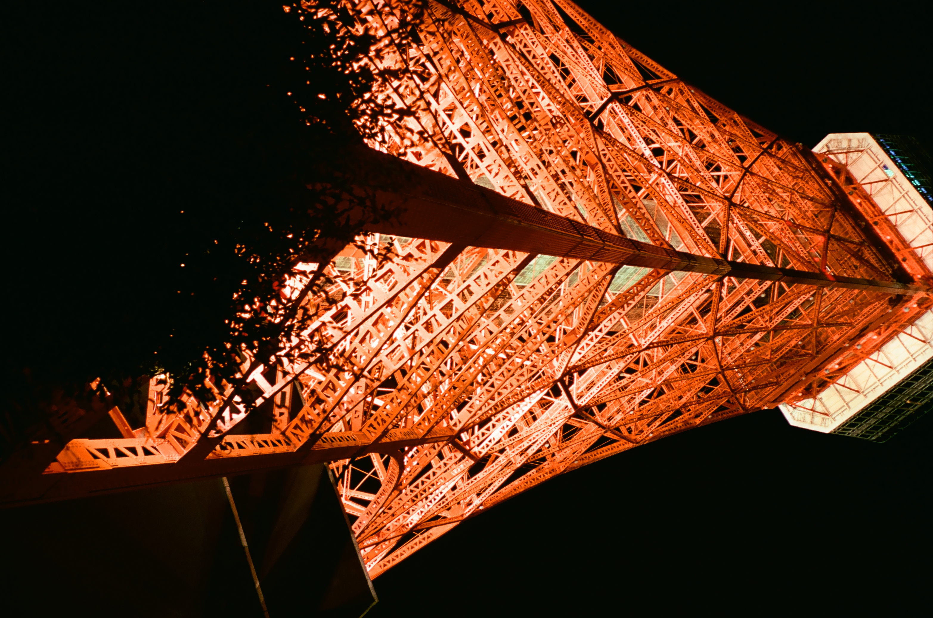 Two crossing legs of a floodlit orange lattice tower converge overhead, a dark tree silhouette crowding the lower corner of the frame.