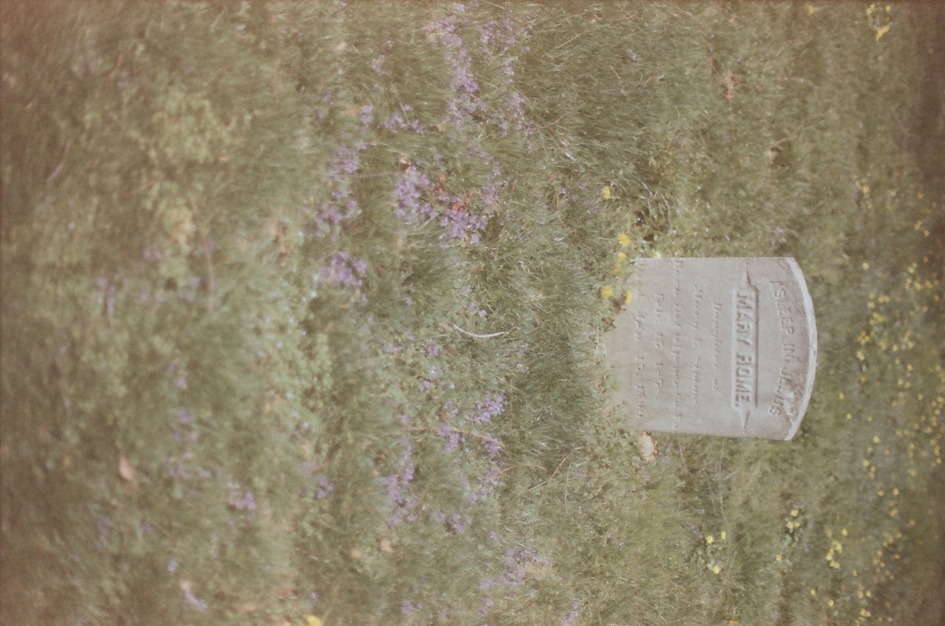 A small upright headstone with “ASLEEP IN JESUS” and “MARY ROME” readable above faint lines stands amid grass and small flowers.