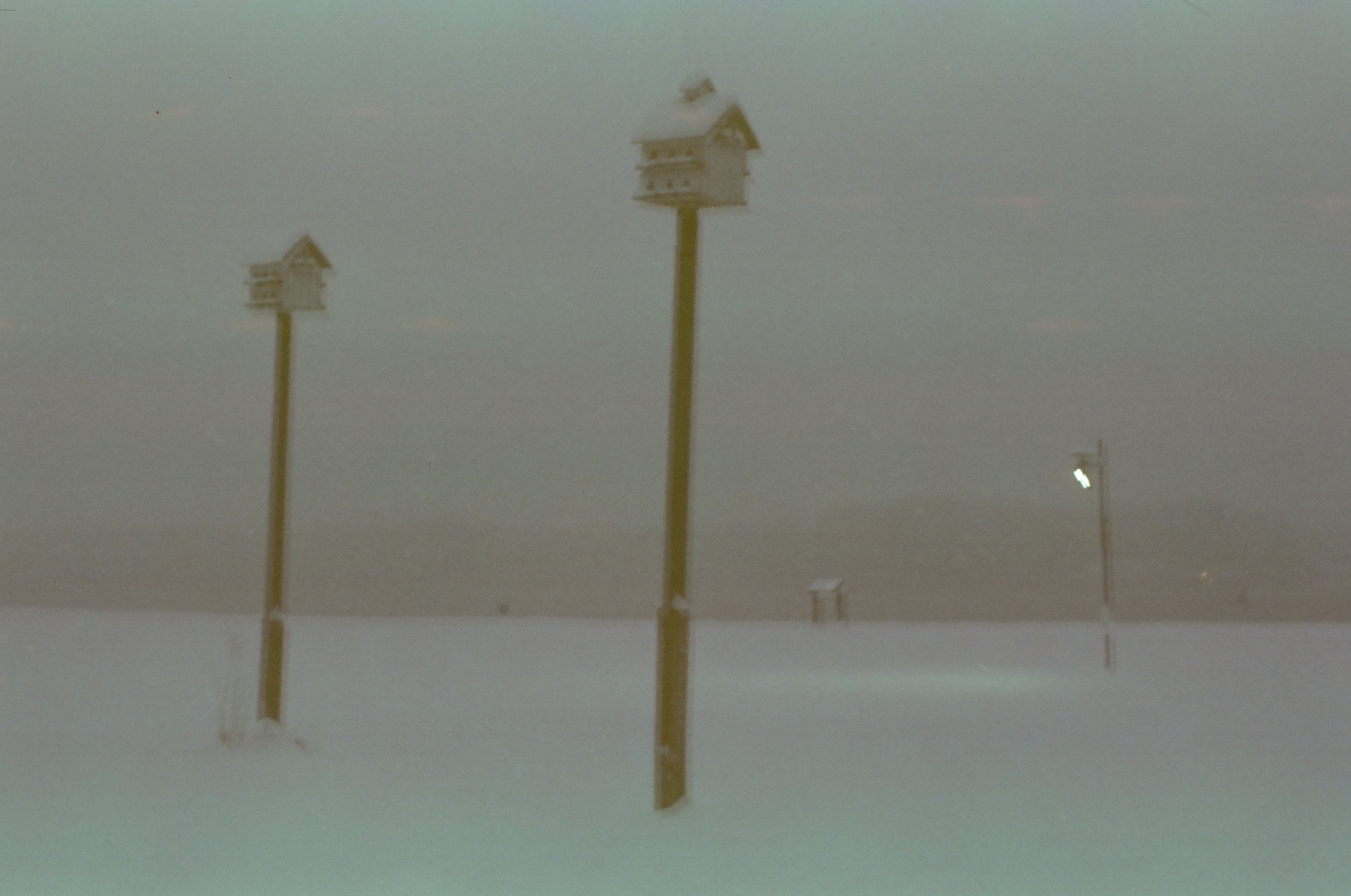 Two tiered birdhouses sit atop tall snow-dusted poles in an open field, a lit lamppost glowing faintly through the fog to the right.