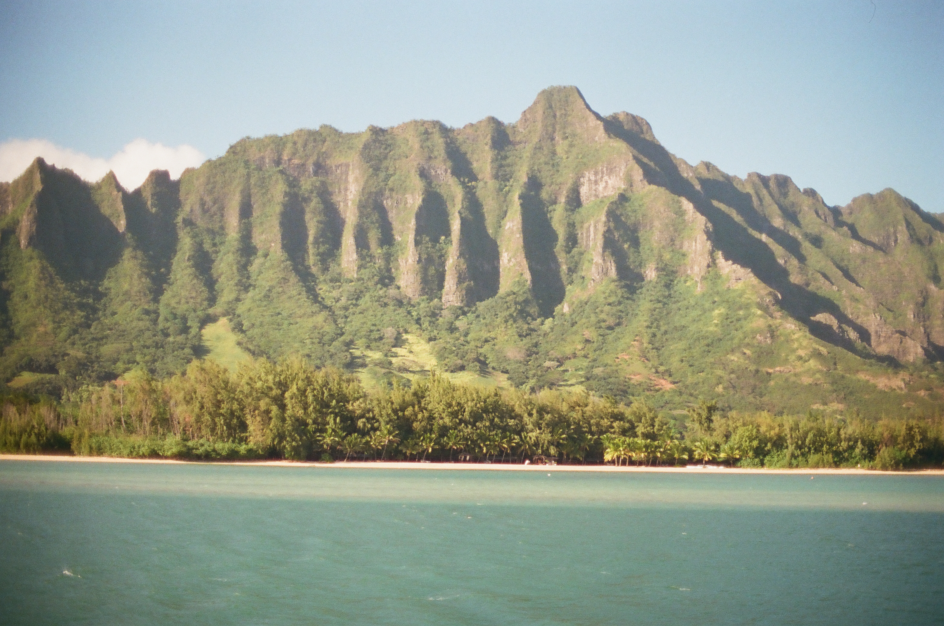 A steep green mountainside rises directly above a narrow strip of pale beach lined with palm trees along the turquoise shoreline.