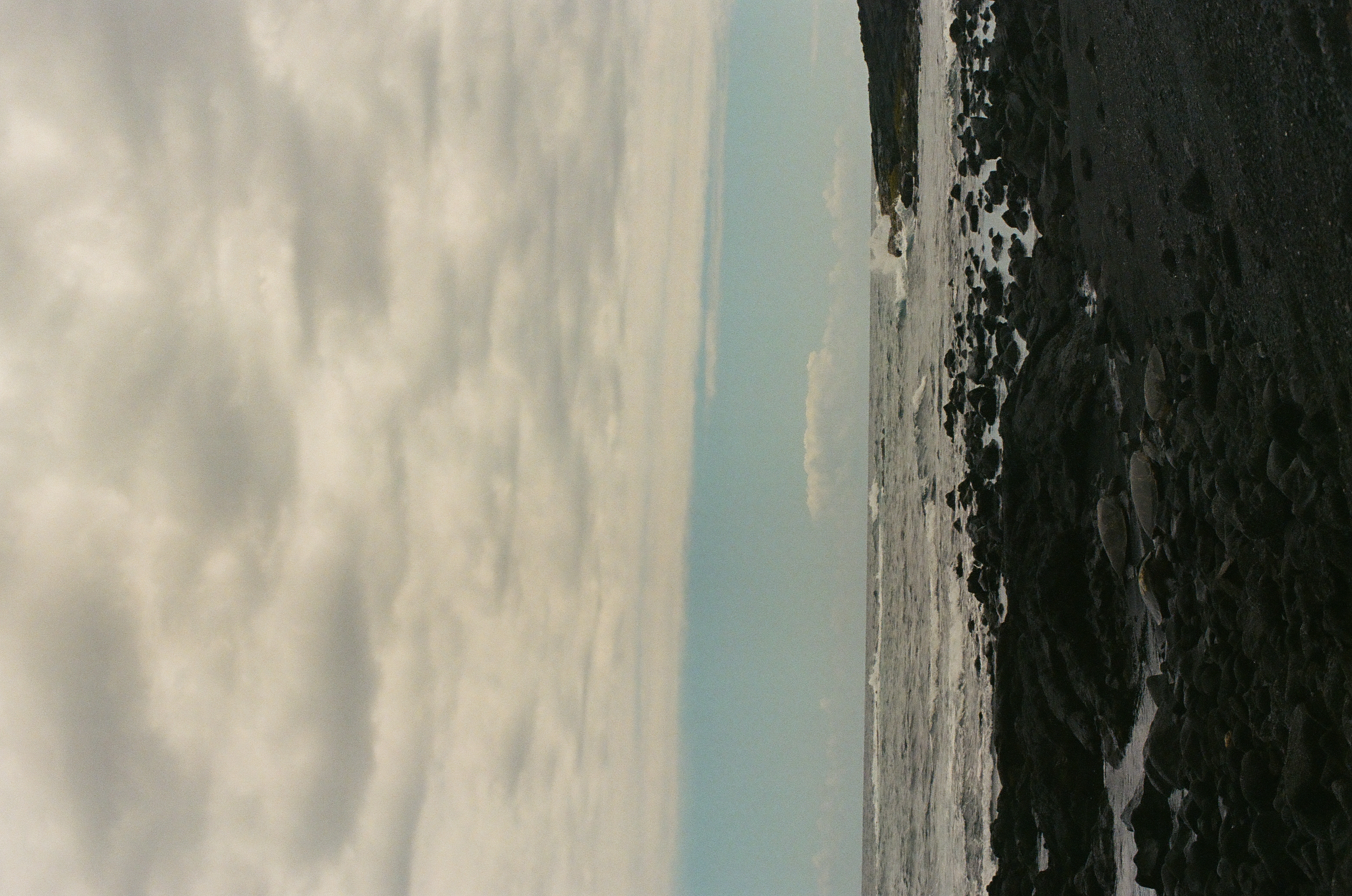 A dark pitted lava rock face studded with round pale shells borders a band of white surf and turquoise water beneath heavy layered clouds.