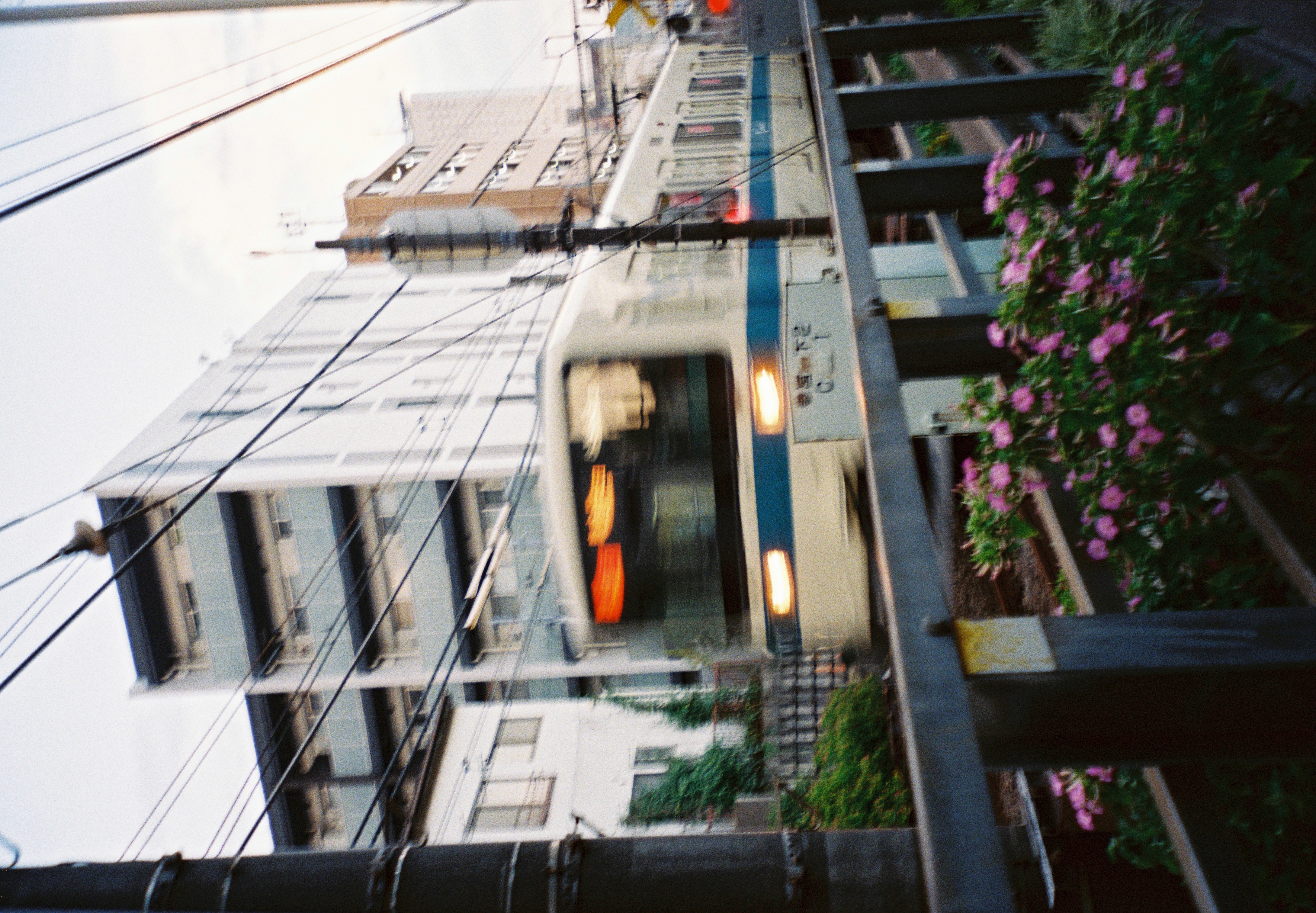 A motion-blurred white train with a blue stripe passes behind a metal railing and pink flowers, with apartment buildings and overhead wires beyond.