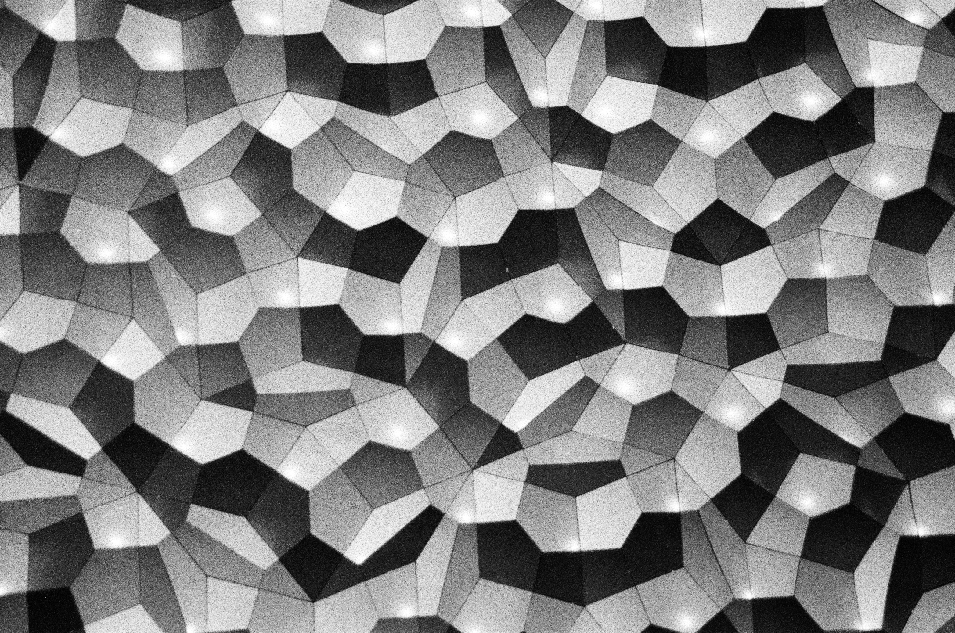 Angular wall cells form a dense monochrome pattern interrupted by bright rectangular reflections near the top.